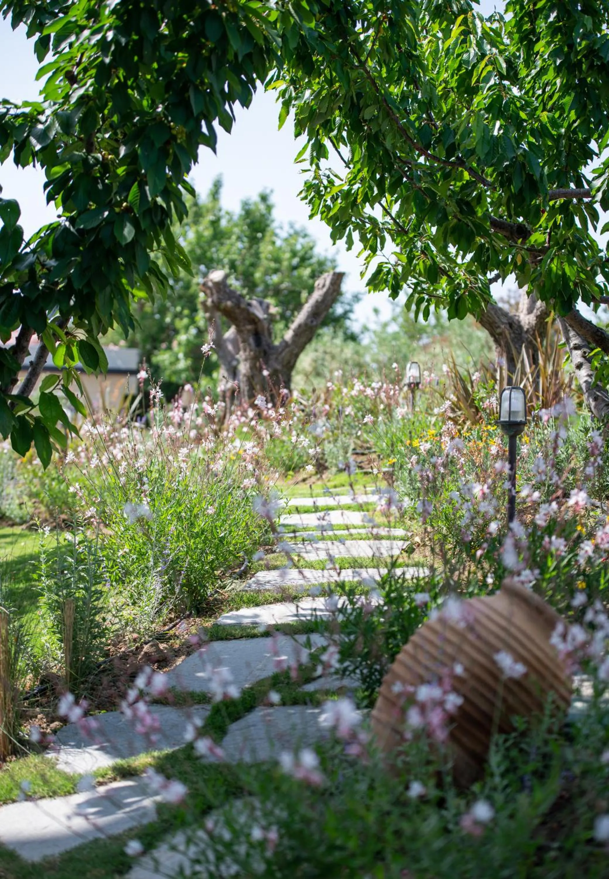 Garden in Antigoni Seaside Resort