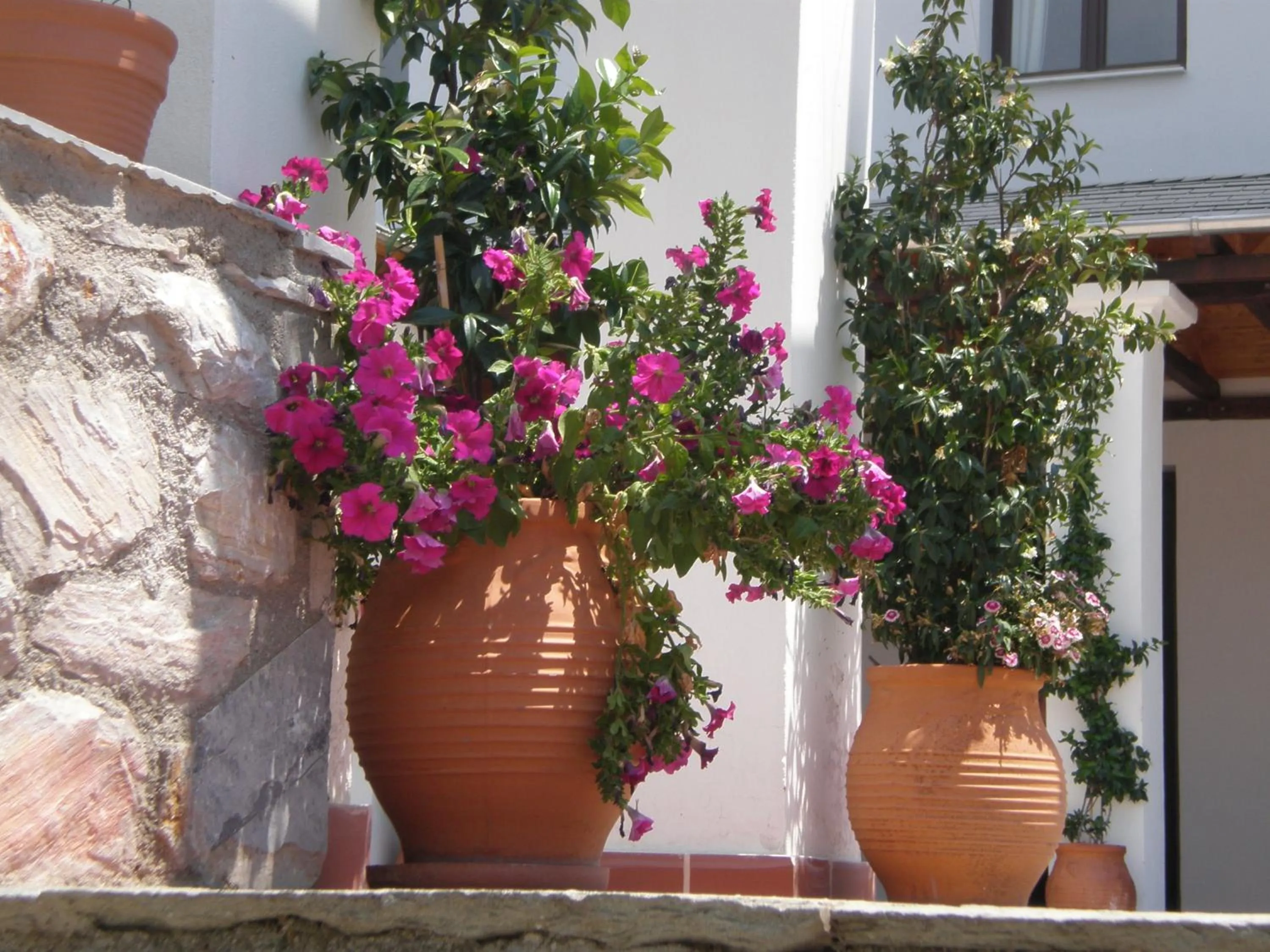 Day in Hotel Pelion Resort