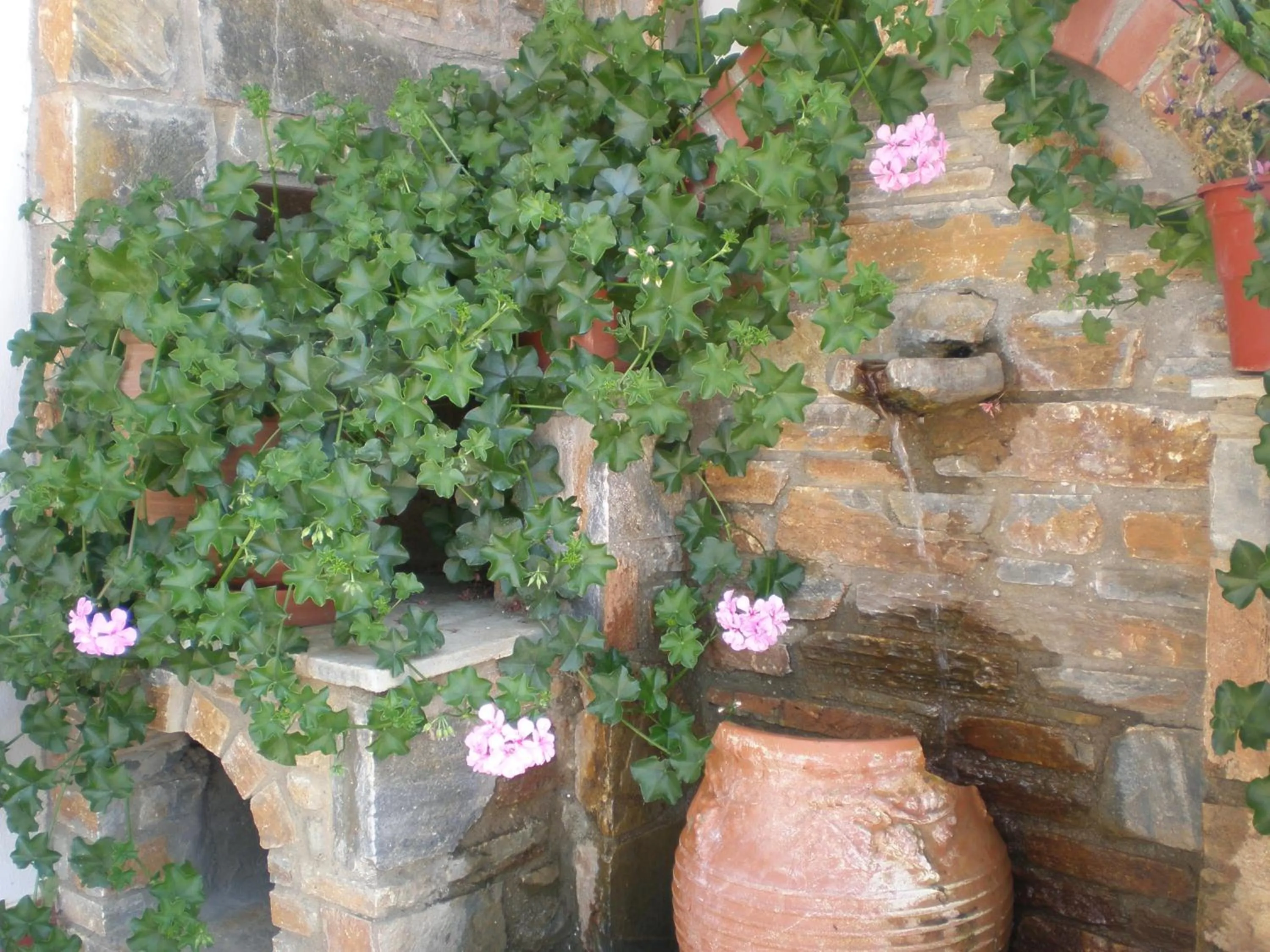 Garden in Hotel Pelion Resort