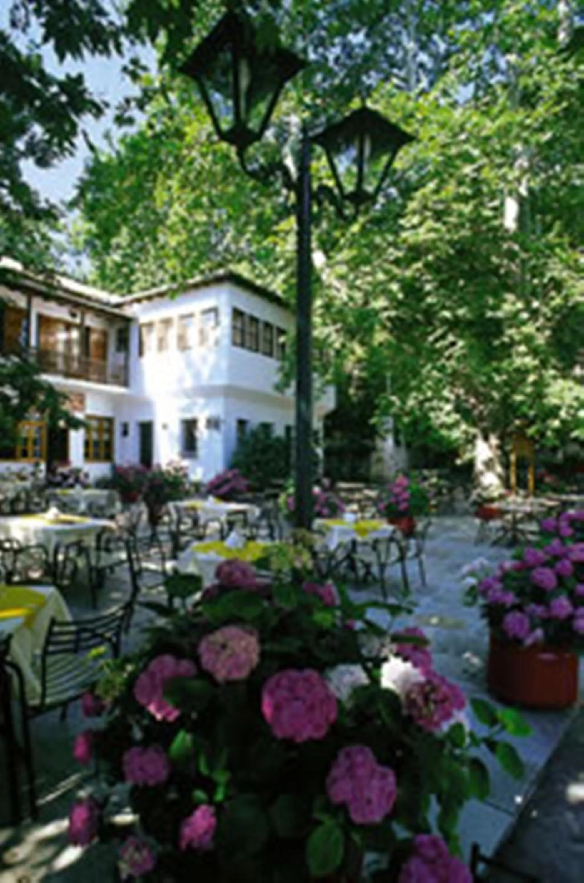 Off site in Hotel Pelion Resort