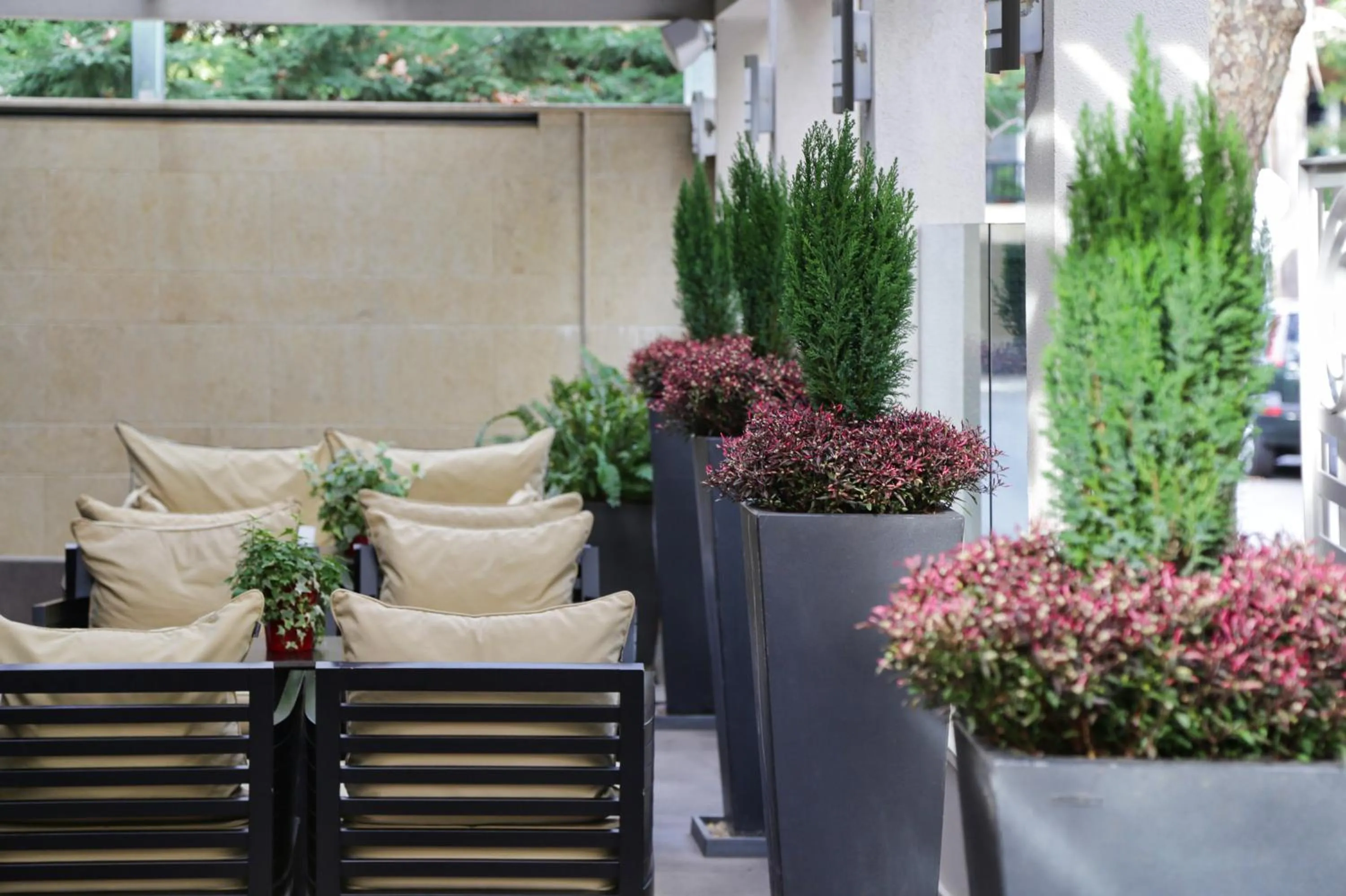 Garden in The Y Hotel