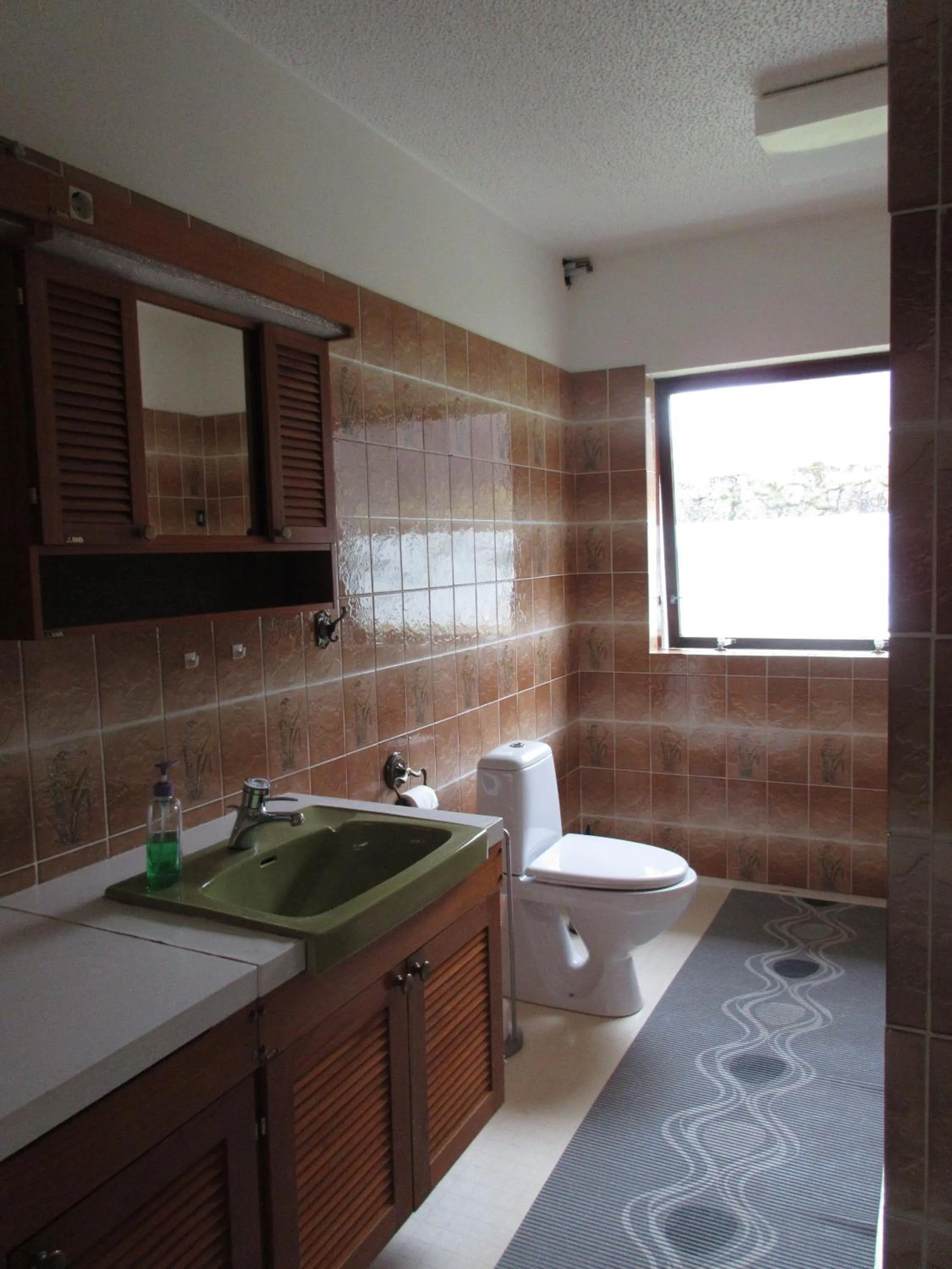 Bathroom in Rauðaberg II