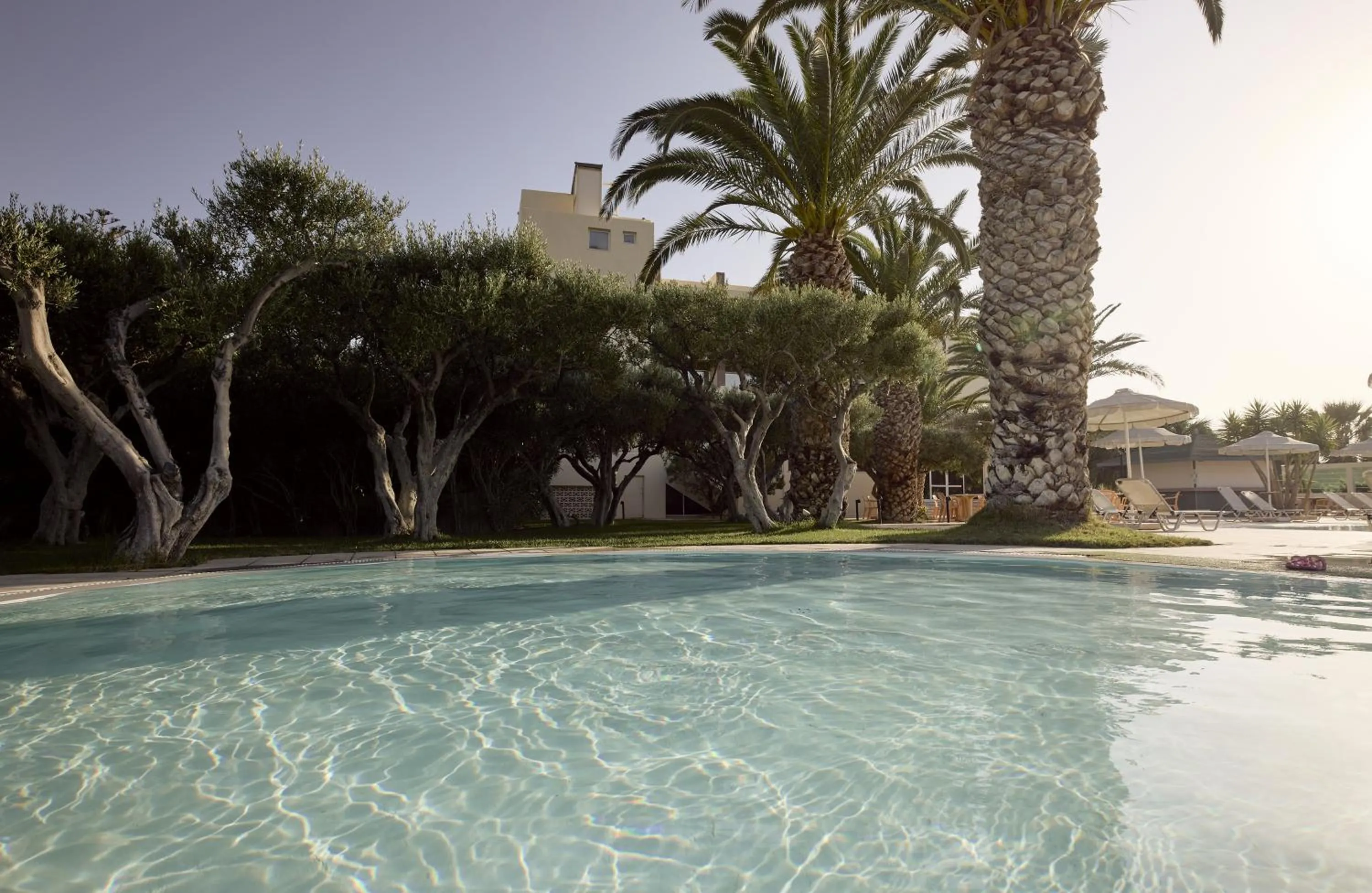Swimming pool in Tylissos Beach Hotel - Adults Only