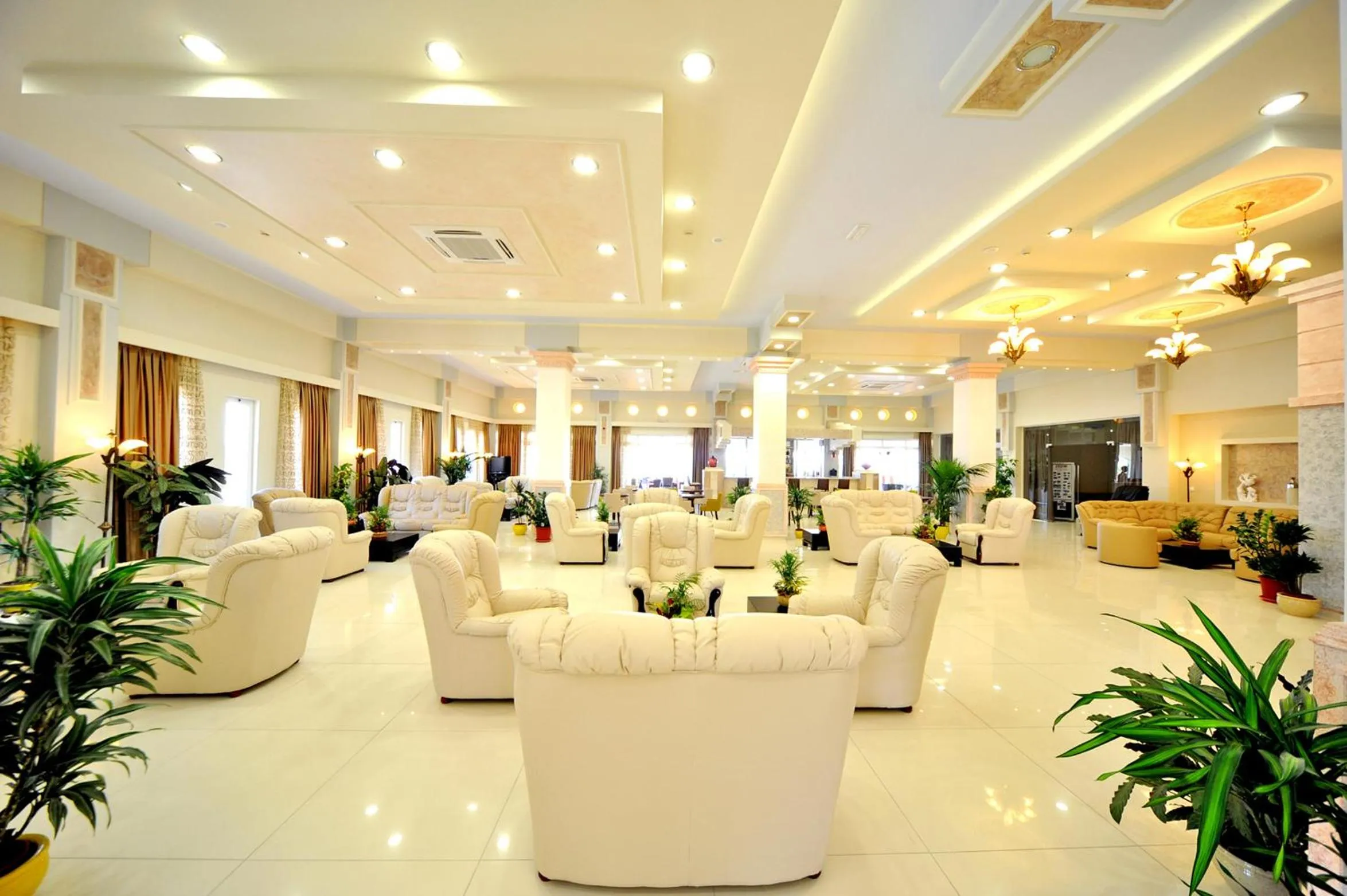 Lounge or bar in Gaia Palace