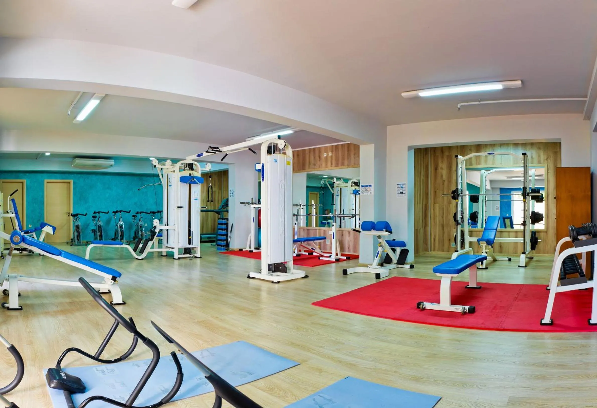 Fitness centre/facilities in Gaia Palace