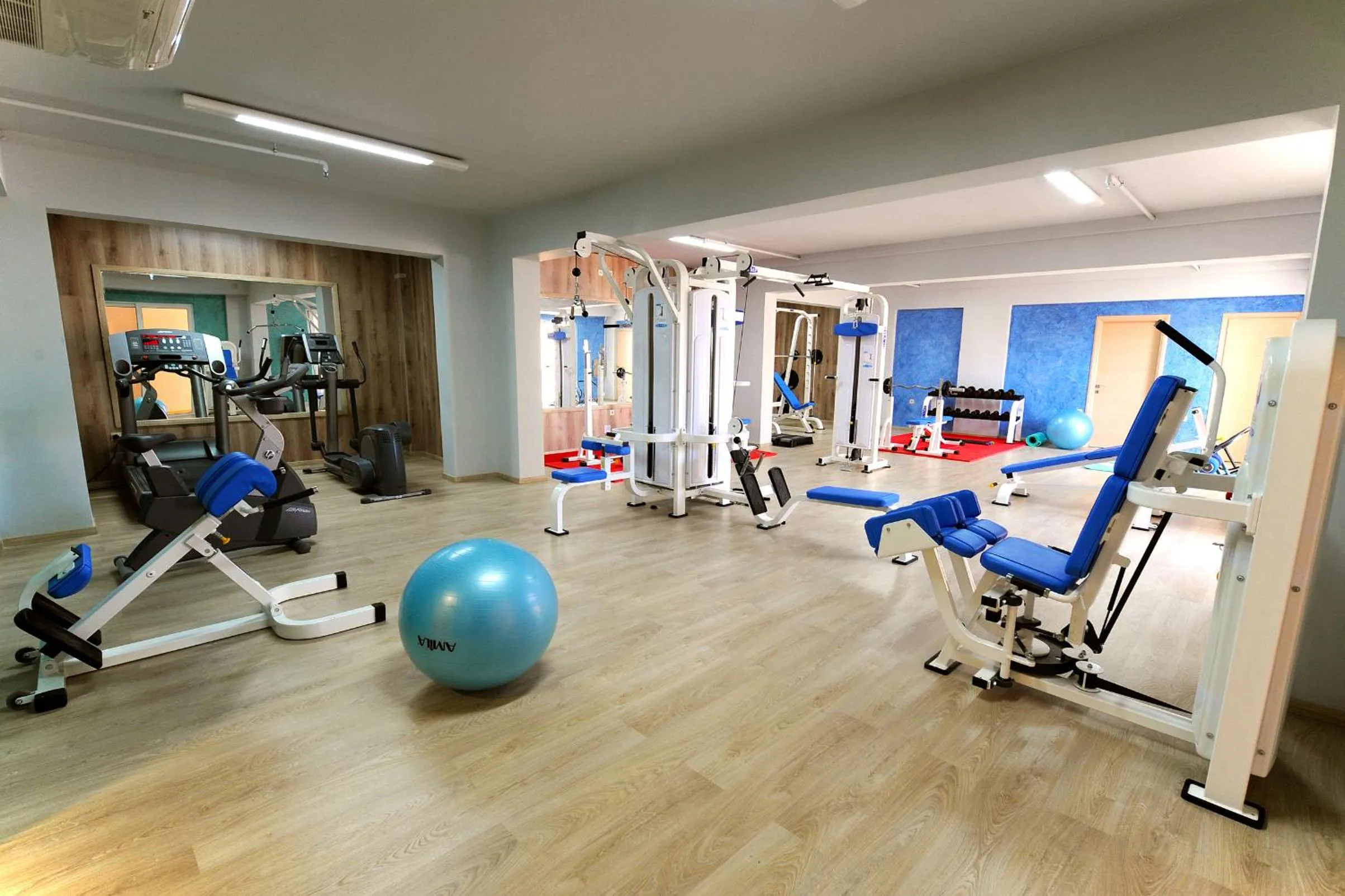 Fitness centre/facilities in Gaia Palace