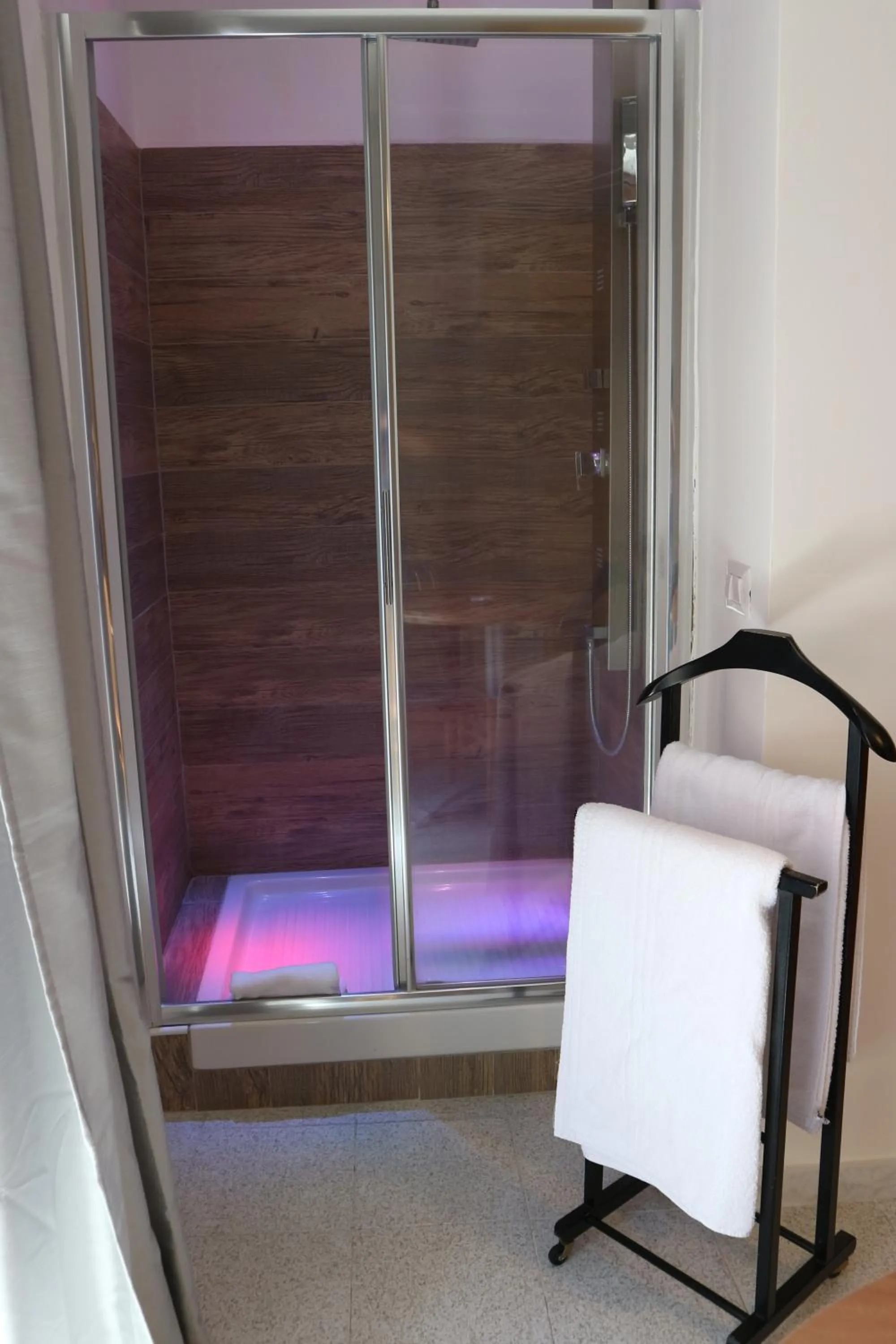 Shower in Hotel Viterbo Inn