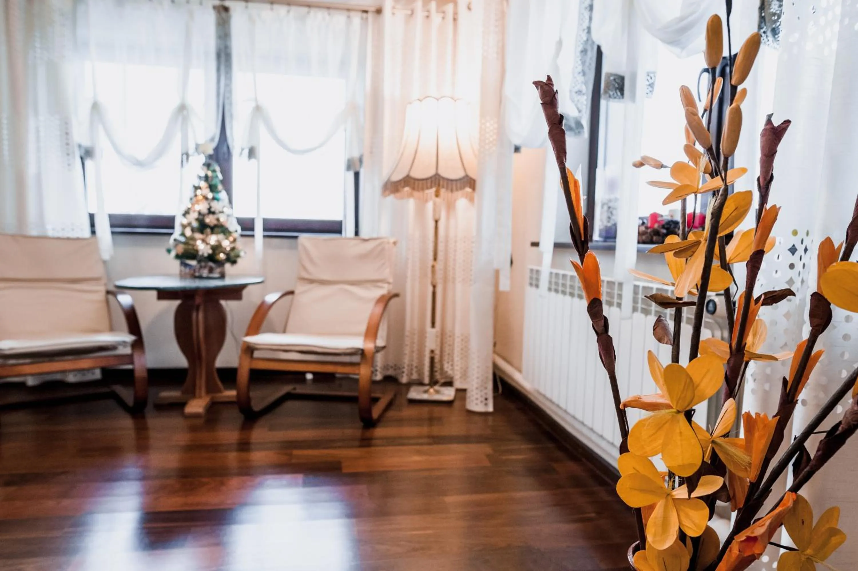 Living room in Irena