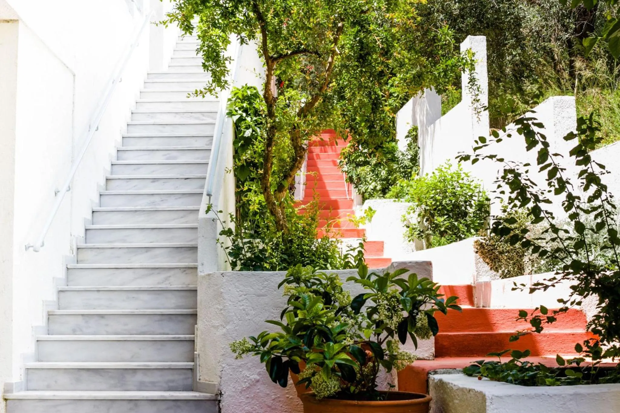 Blue Horizon Studios