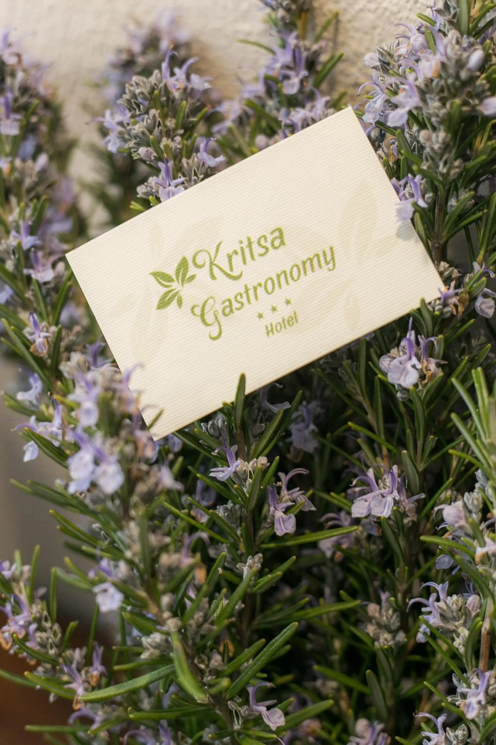 Decorative detail in Gastronomy Hotel Kritsa