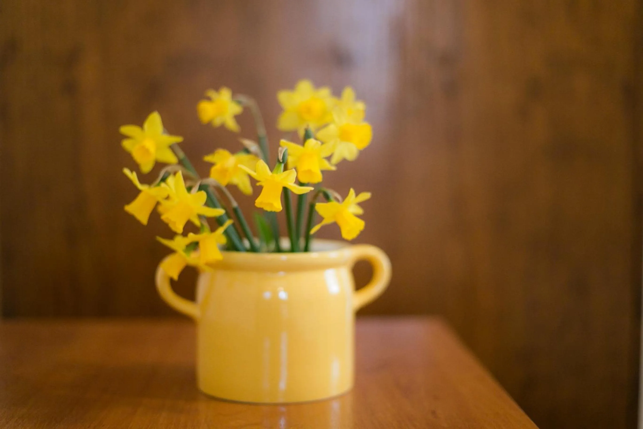 Decorative detail in Gastronomy Hotel Kritsa