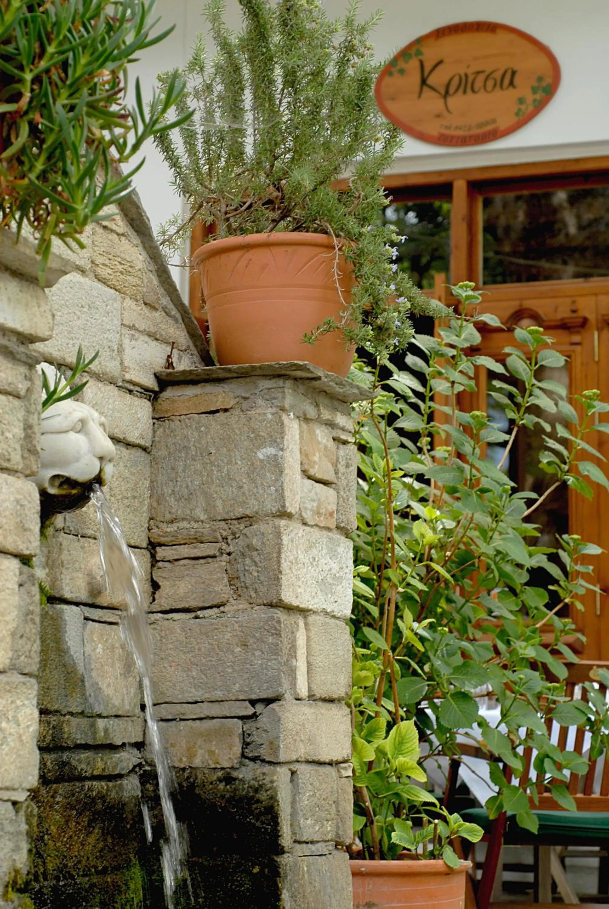 Area and facilities in Gastronomy Hotel Kritsa