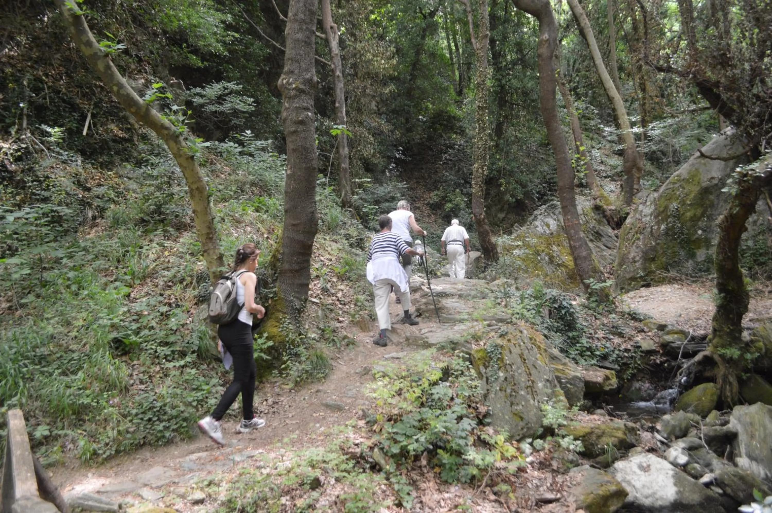 Hiking in Gastronomy Hotel Kritsa