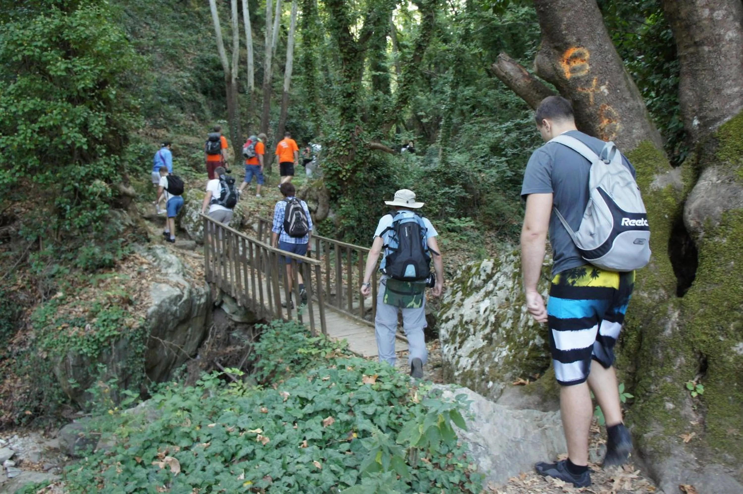 Hiking in Gastronomy Hotel Kritsa