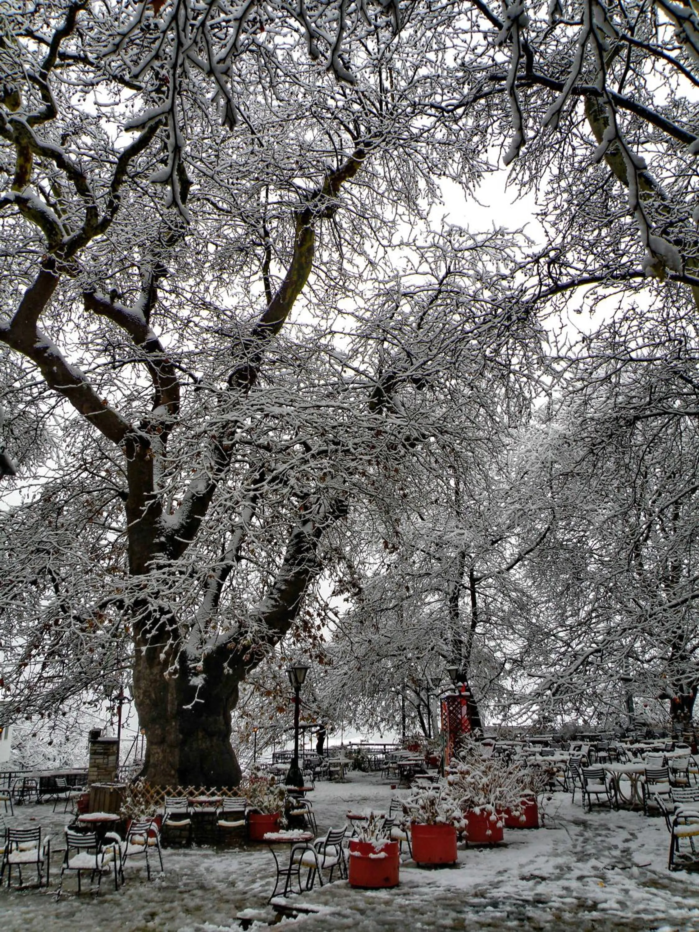 Area and facilities in Pelias Hotel