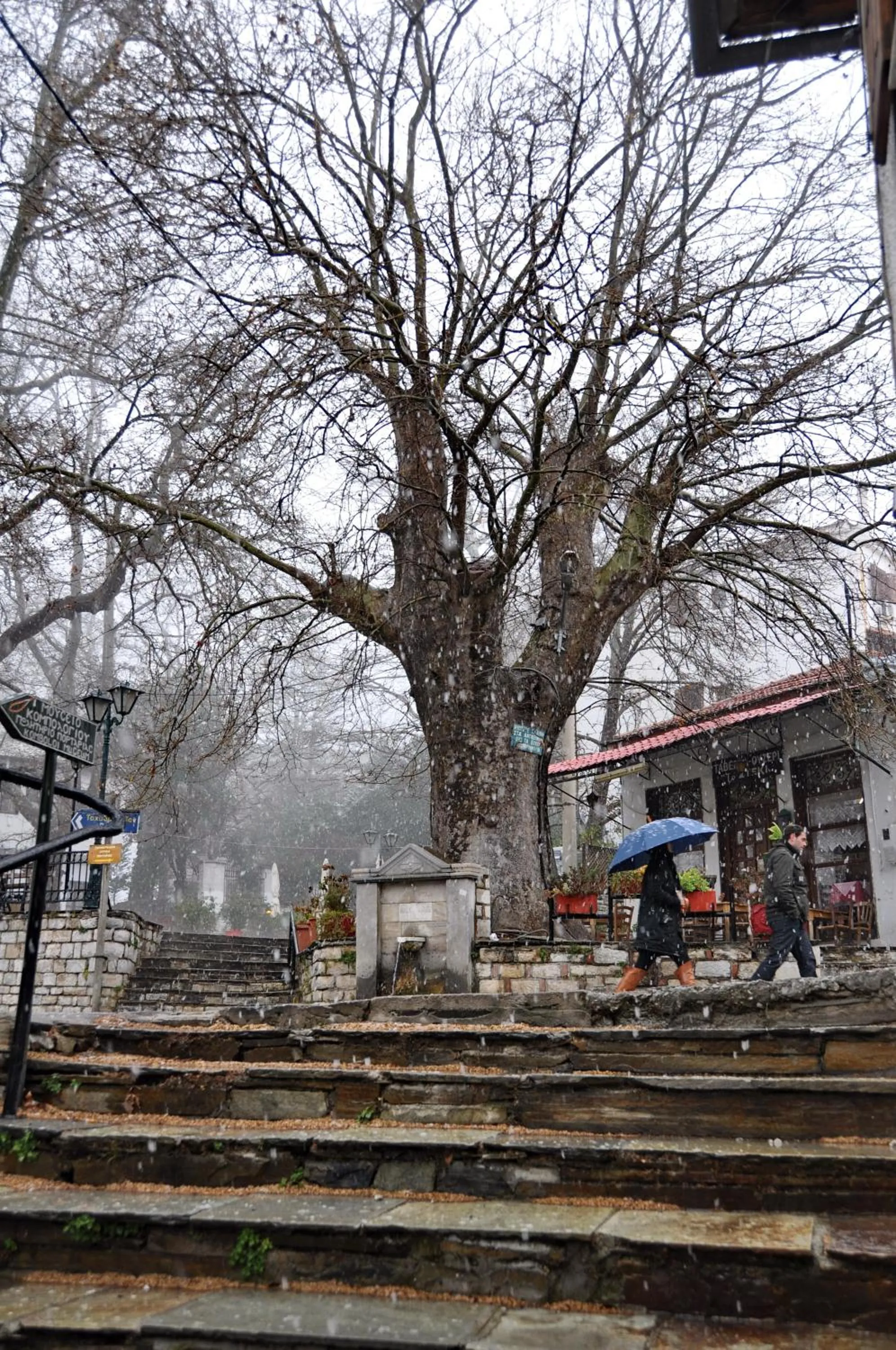 Area and facilities in Pelias Hotel