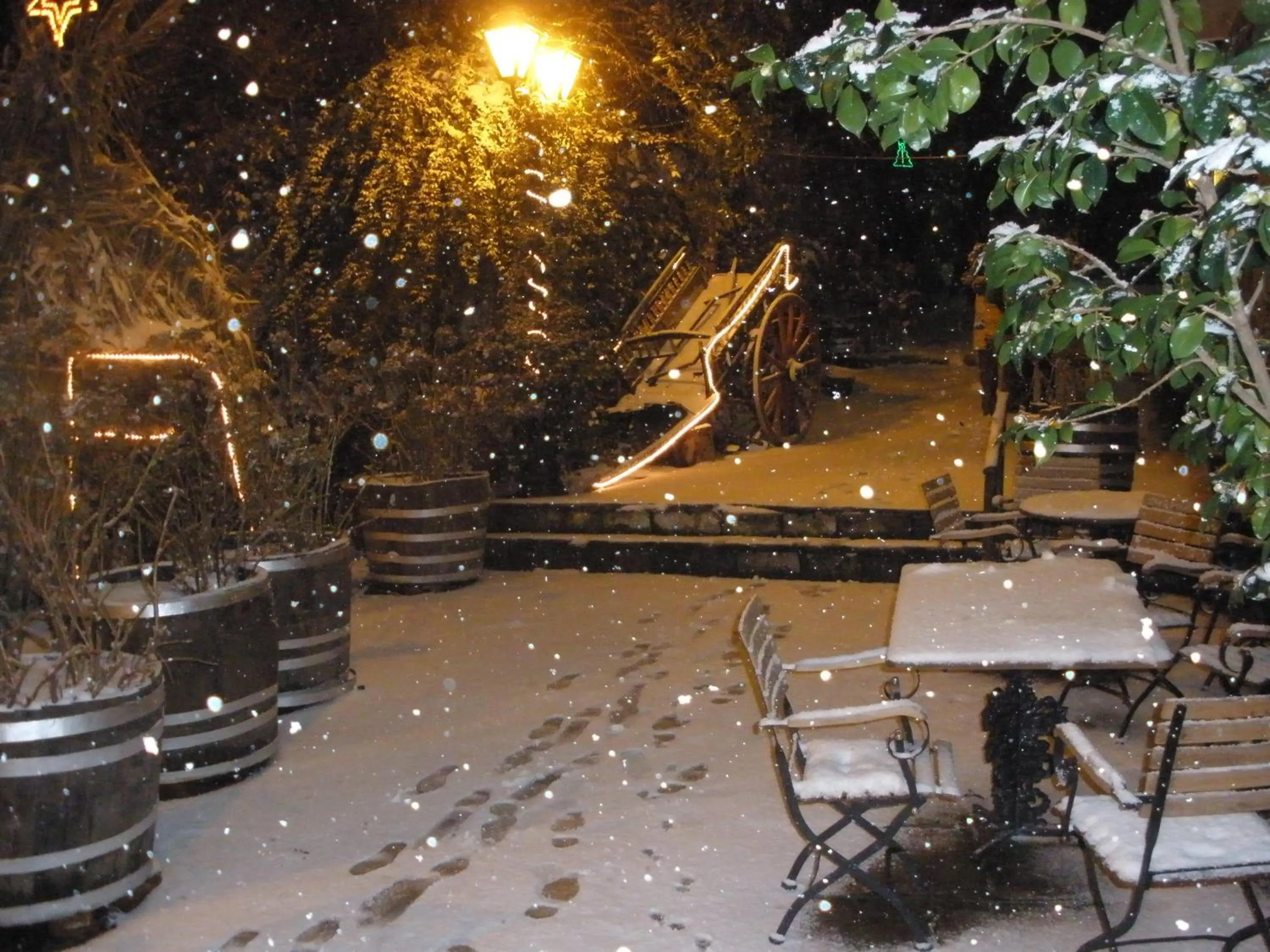 Area and facilities in Pelias Hotel