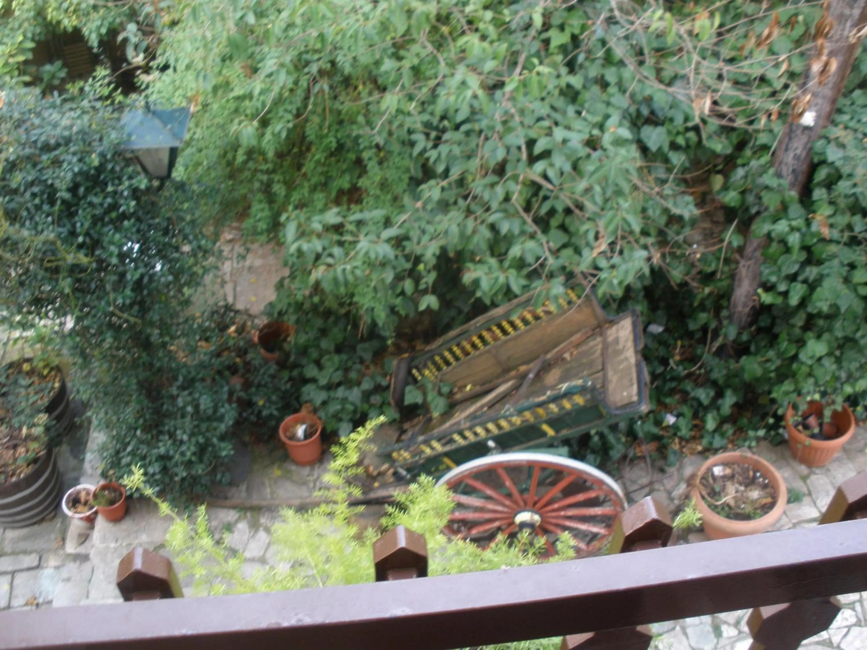 Area and facilities in Pelias Hotel