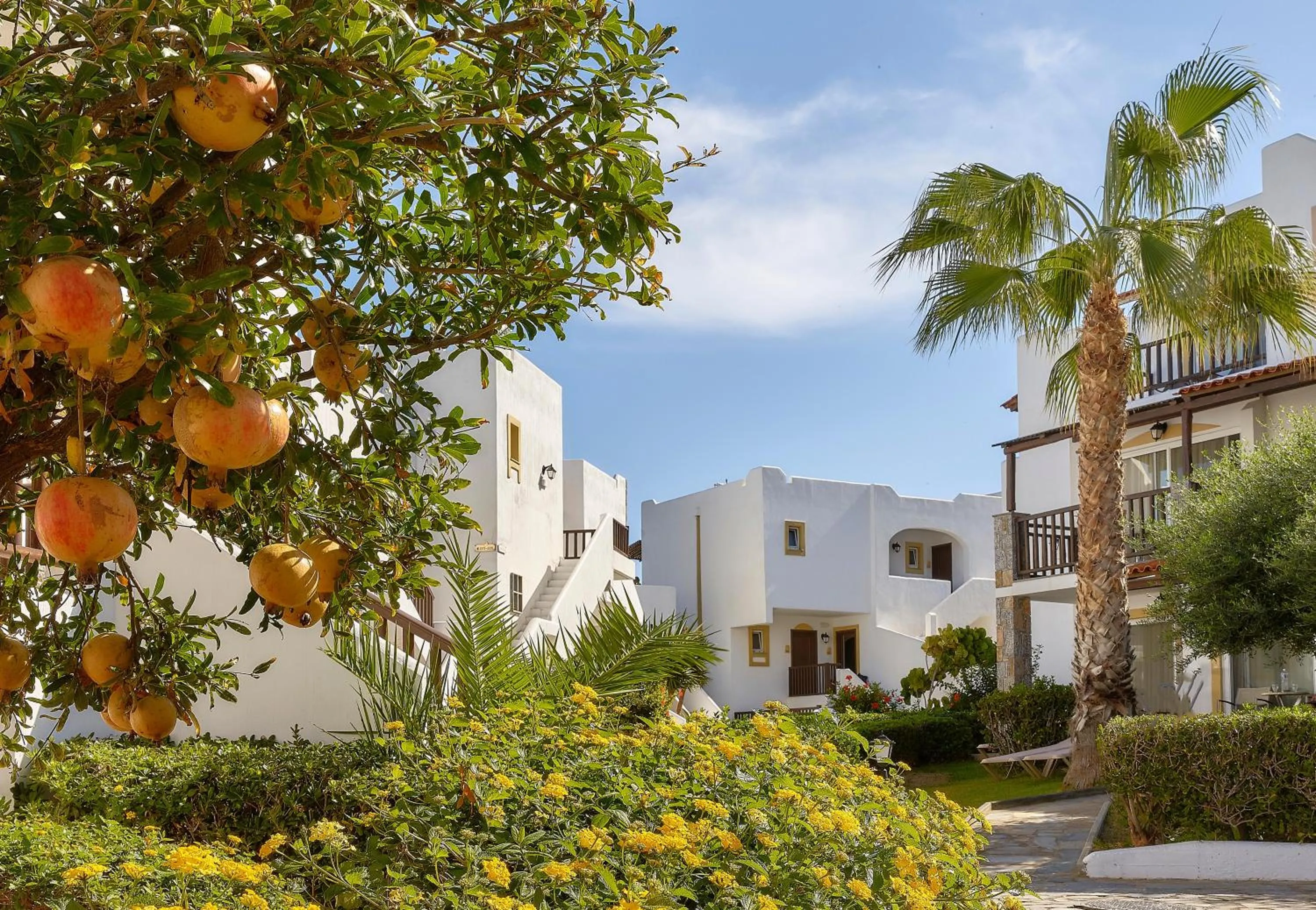 Garden in Alexander Beach Hotel & Village Resort