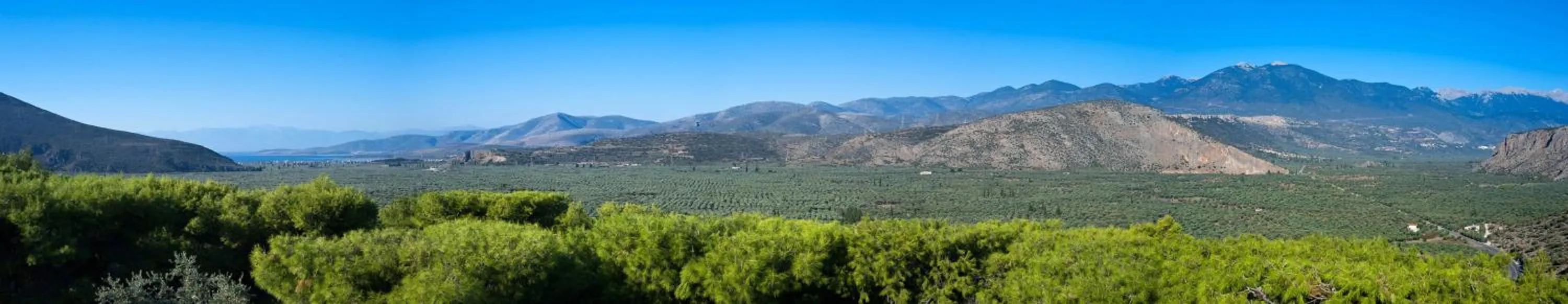 View (from property/room) in Chrissa Camping Rooms & Bungalows