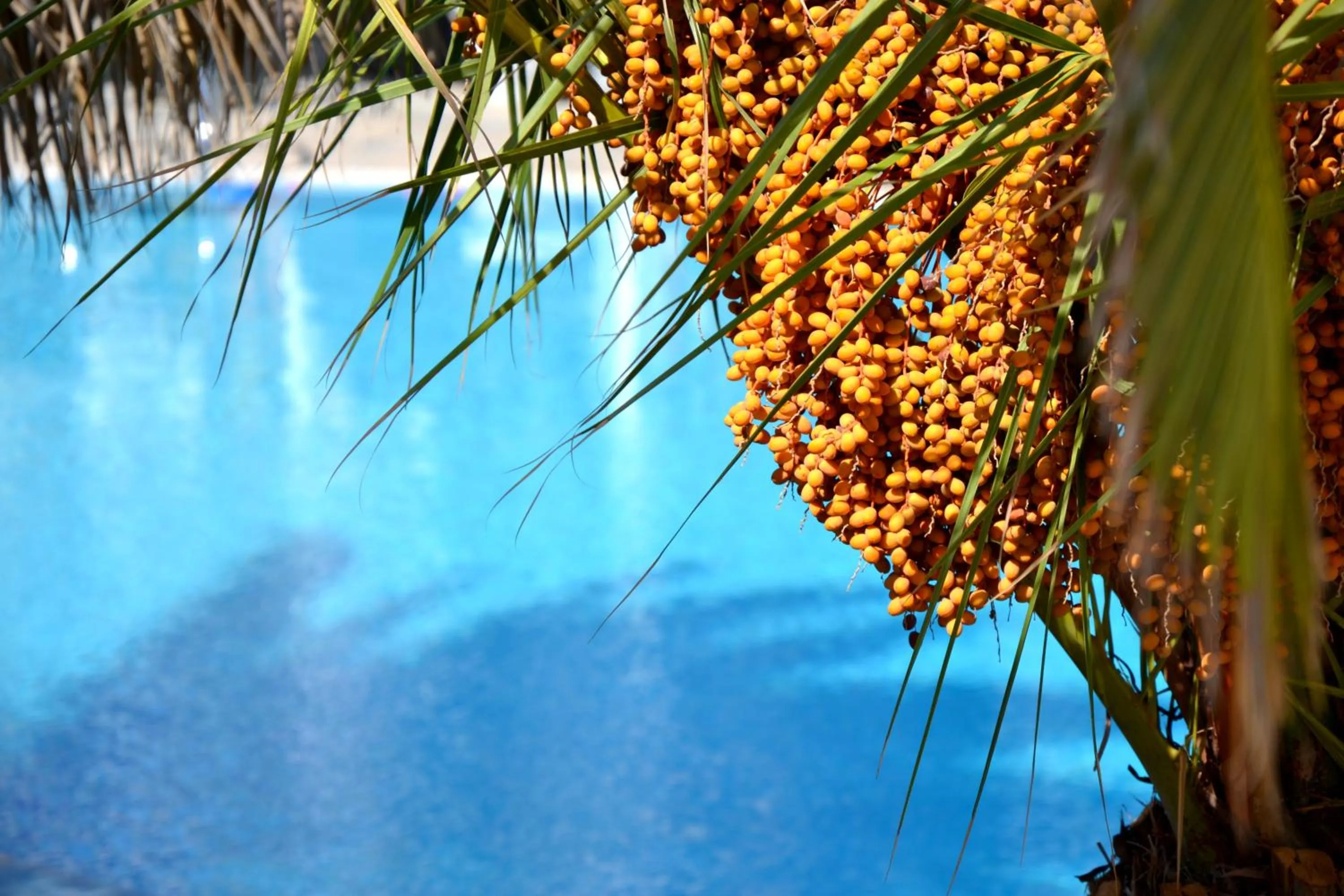 Pool view in Zephyros Hotel