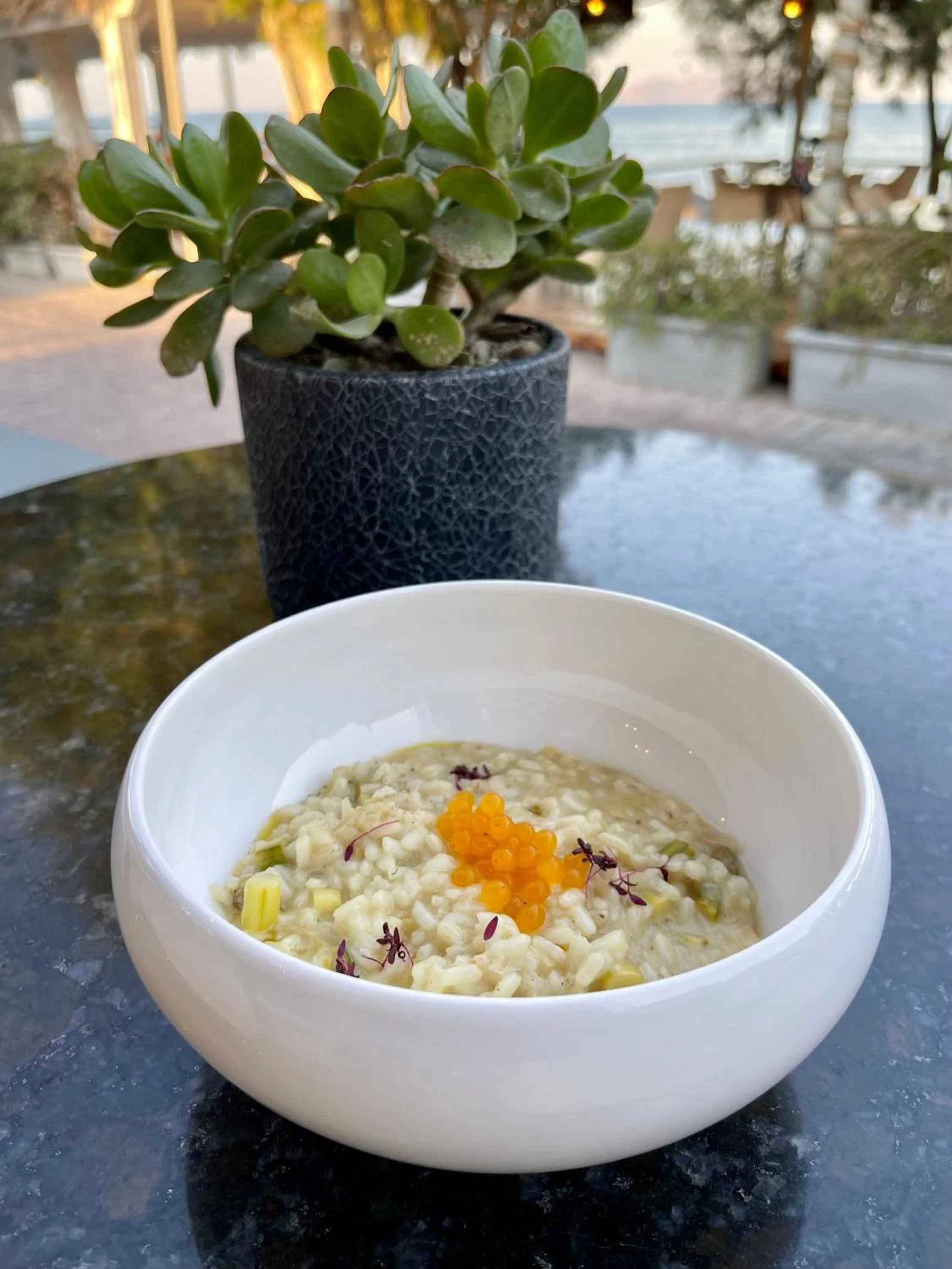 Food and drinks in Elixir Del Mar on the Beach