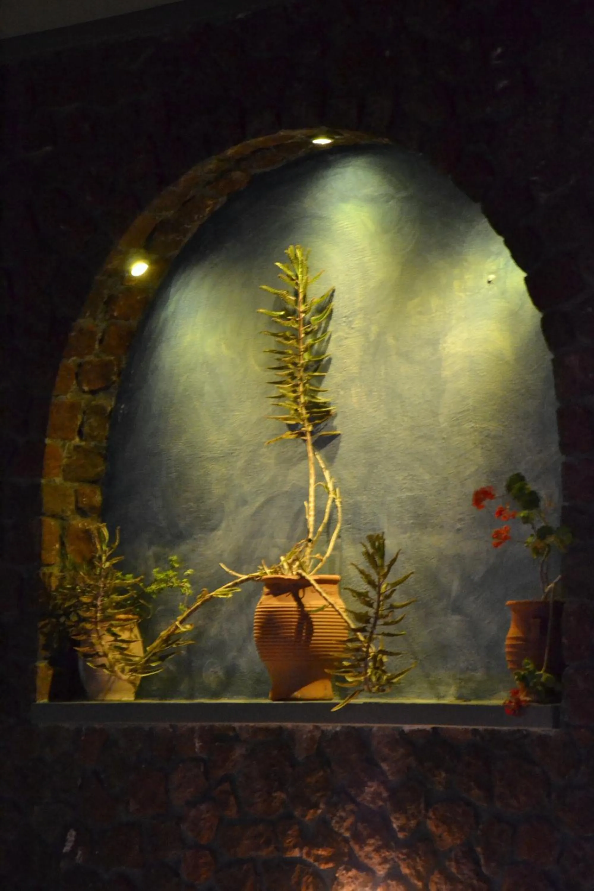 Decorative detail in Elixir Del Mar on the Beach