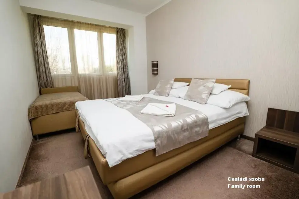 Standard Double Room - single occupancy in Hotel Írisz Standard Double Room - single occupancy in Hotel Írisz