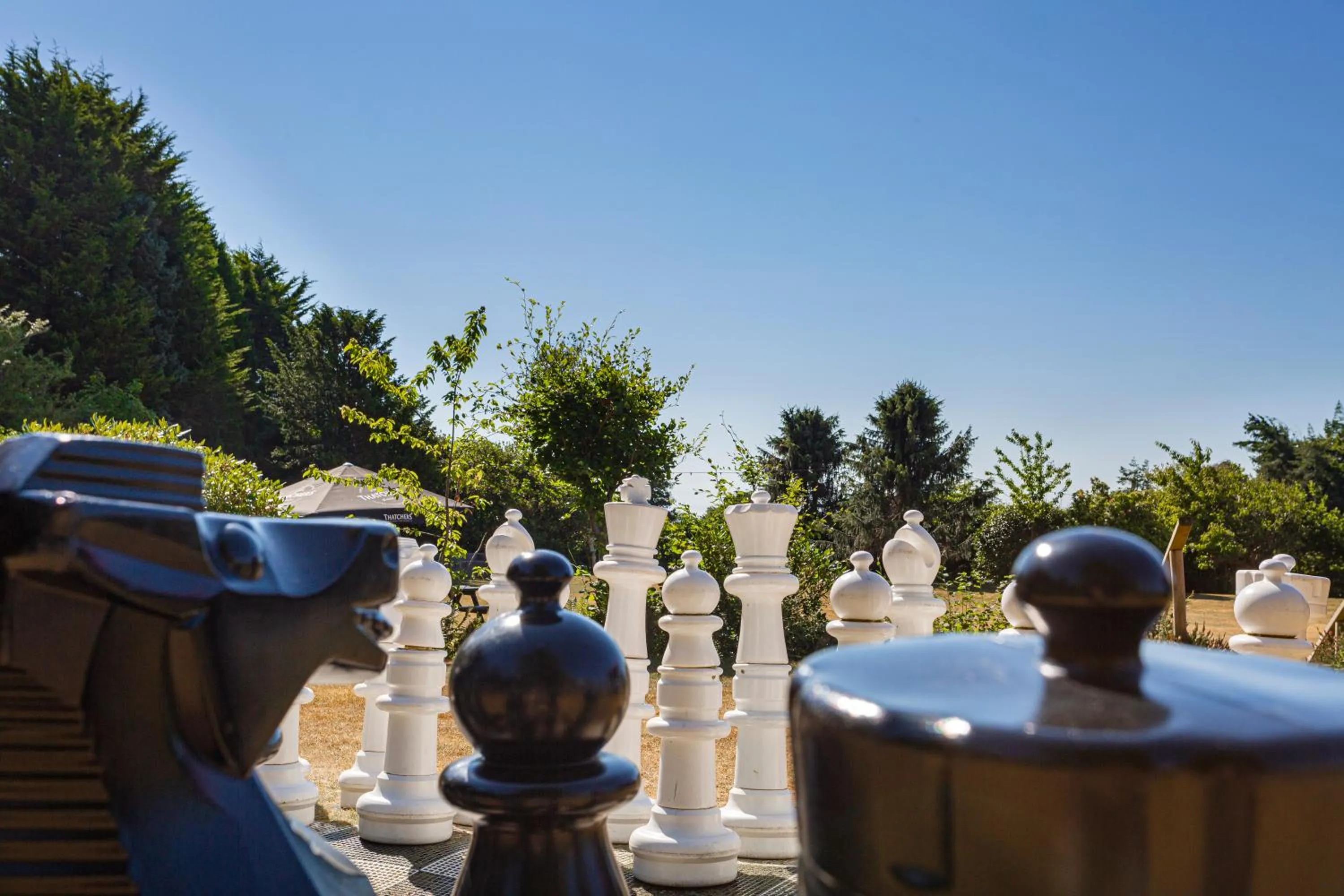Garden in The Moorland Hotel, Haytor, Devon - The Coaching Inn Group