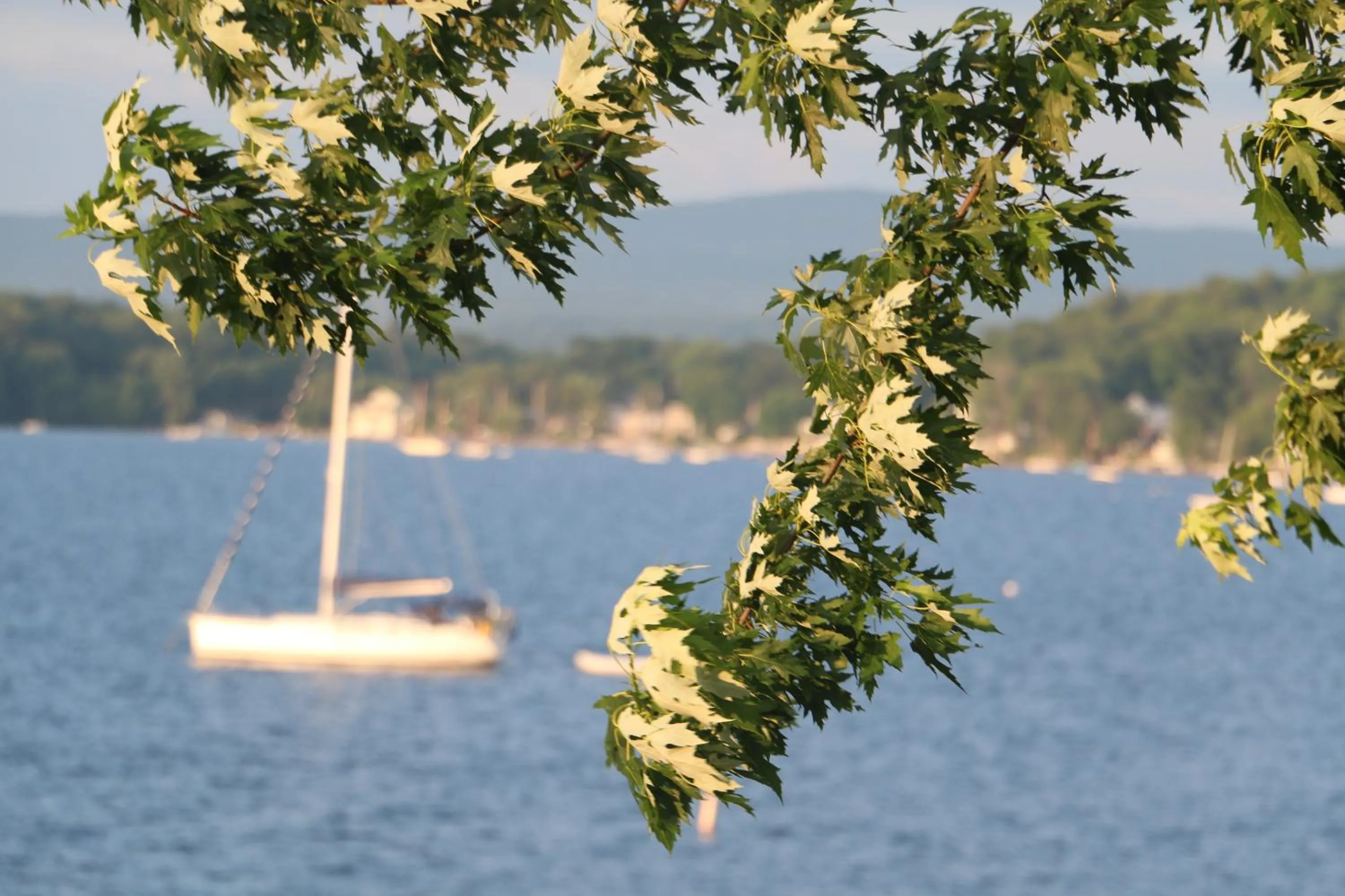 Natural landscape in Lakeshore Vermont