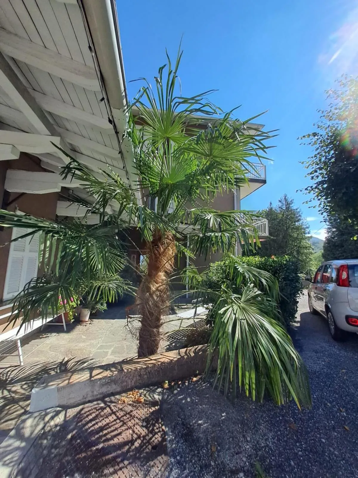 Garden in Hotel Mirabeau