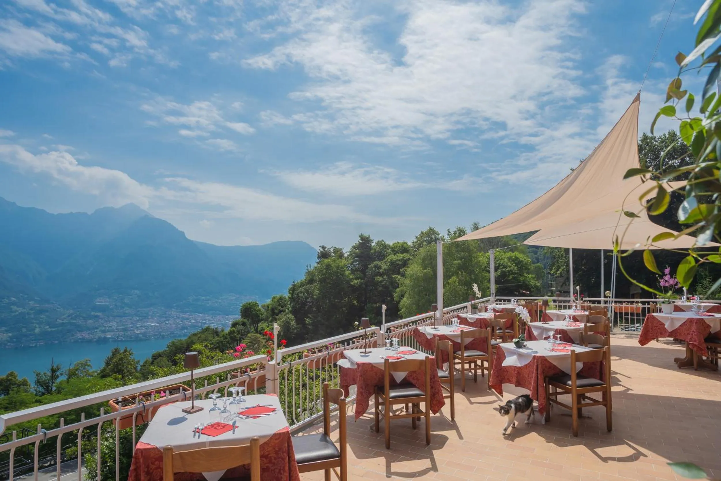 Restaurant/places to eat in Hotel Mirabeau