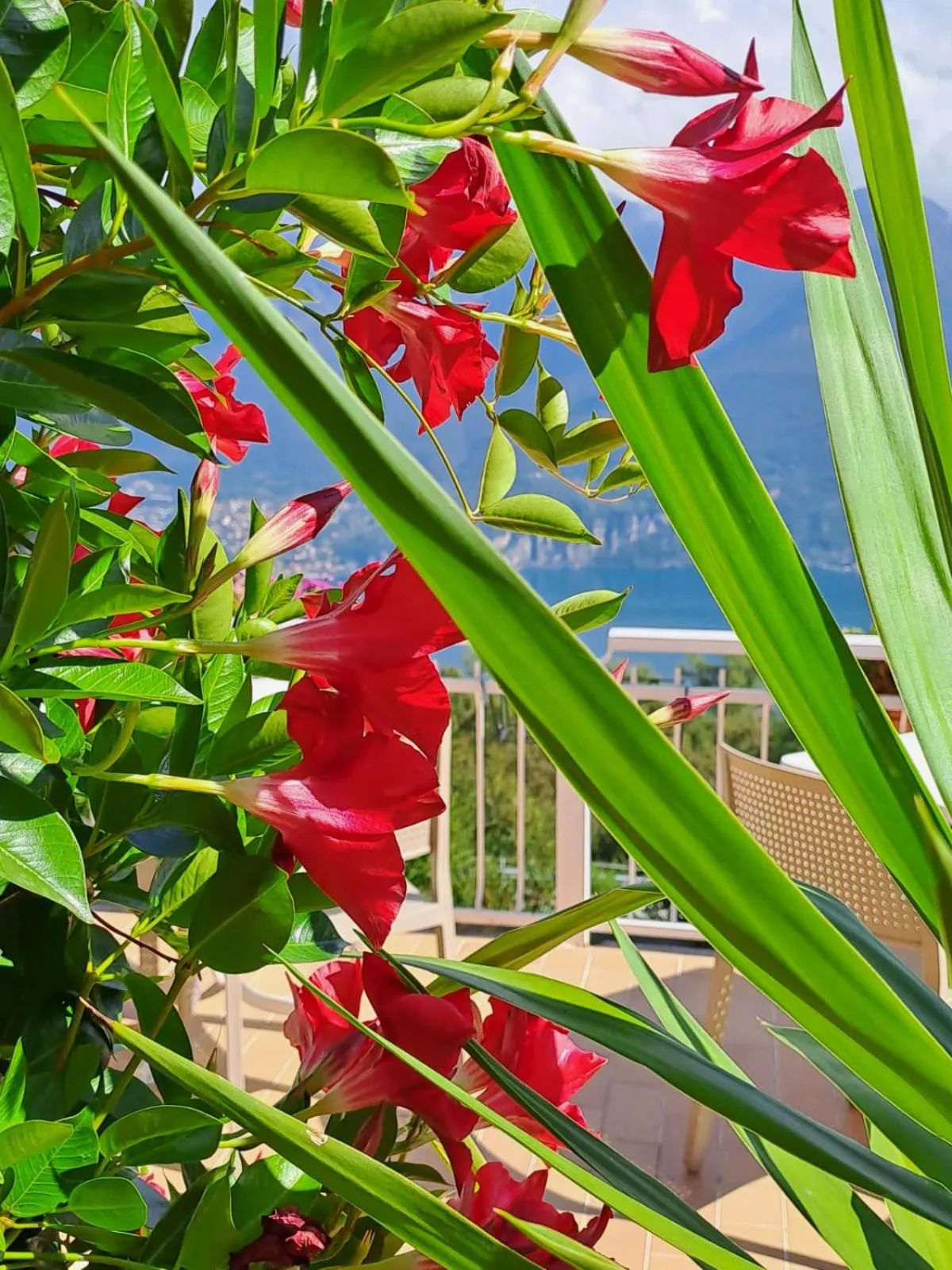 Restaurant/places to eat in Hotel Mirabeau