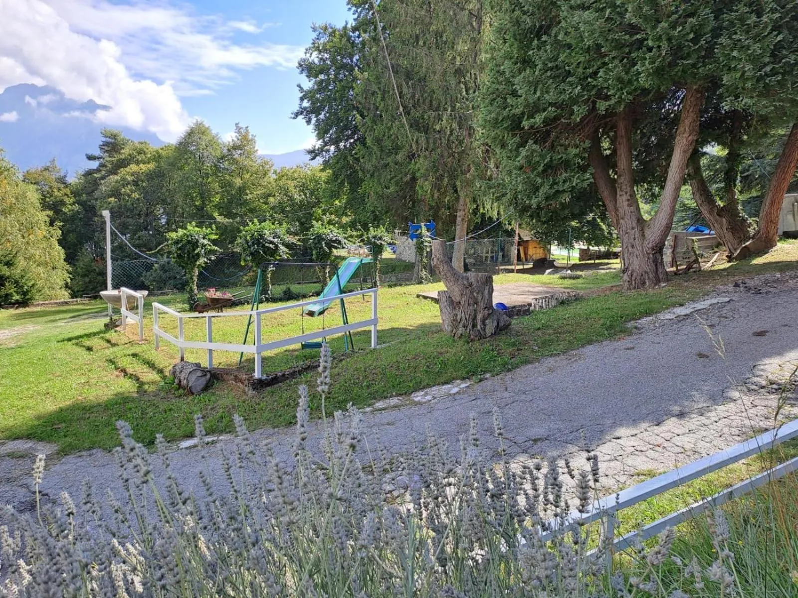 Garden in Hotel Mirabeau