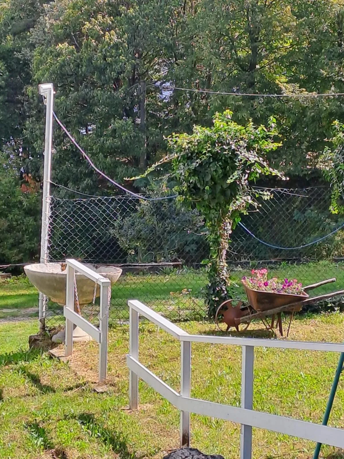 Garden in Hotel Mirabeau