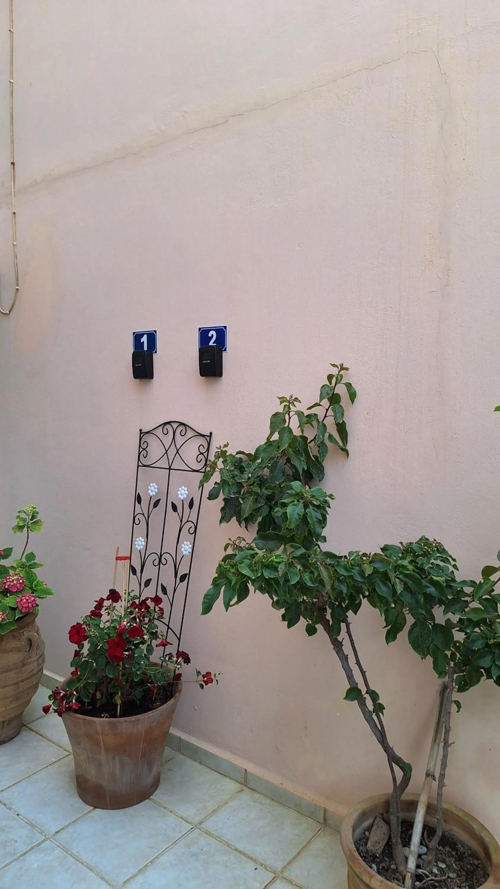 Kalliopi Studios - Apartments