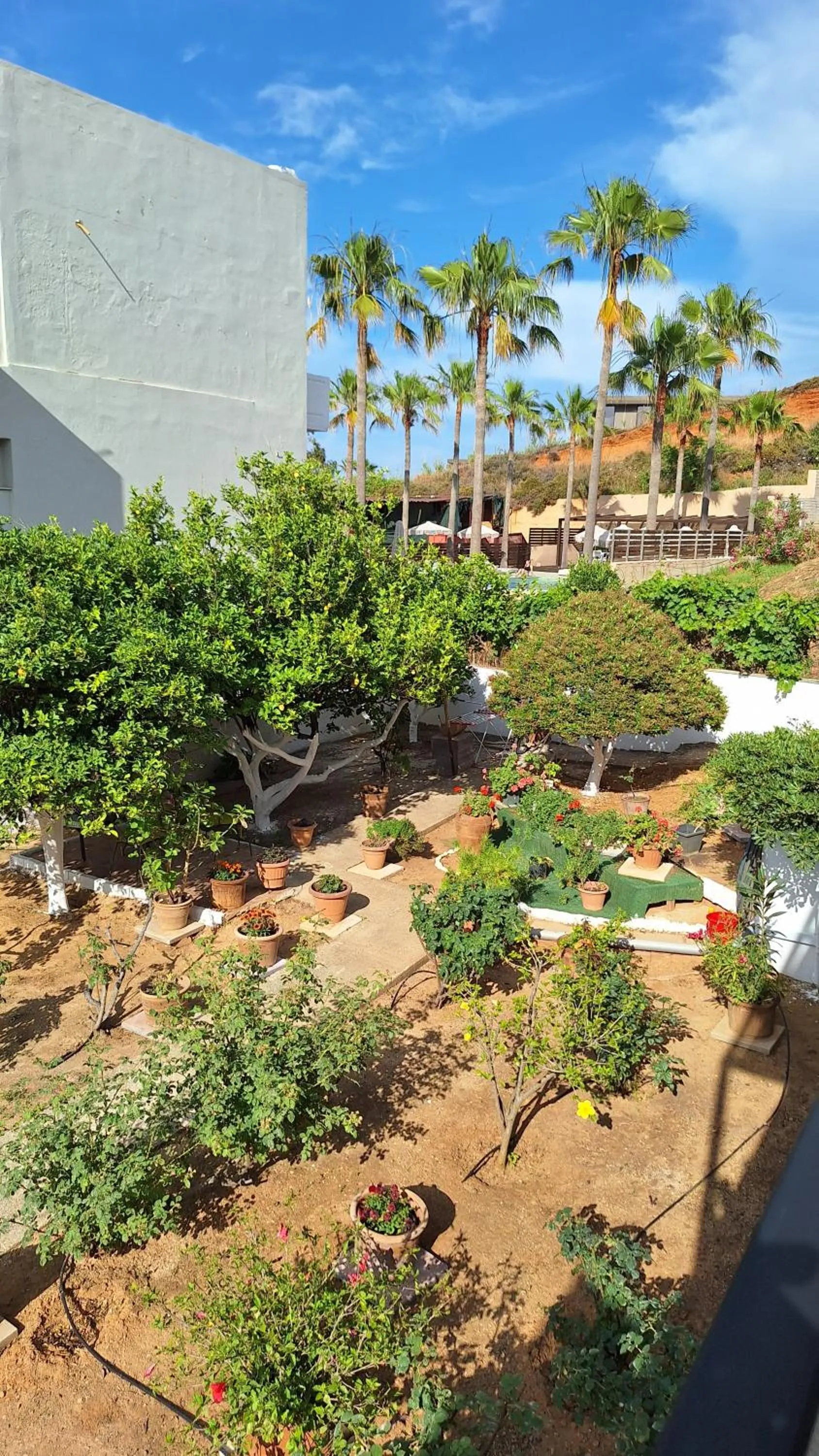 Kalliopi Studios - Apartments