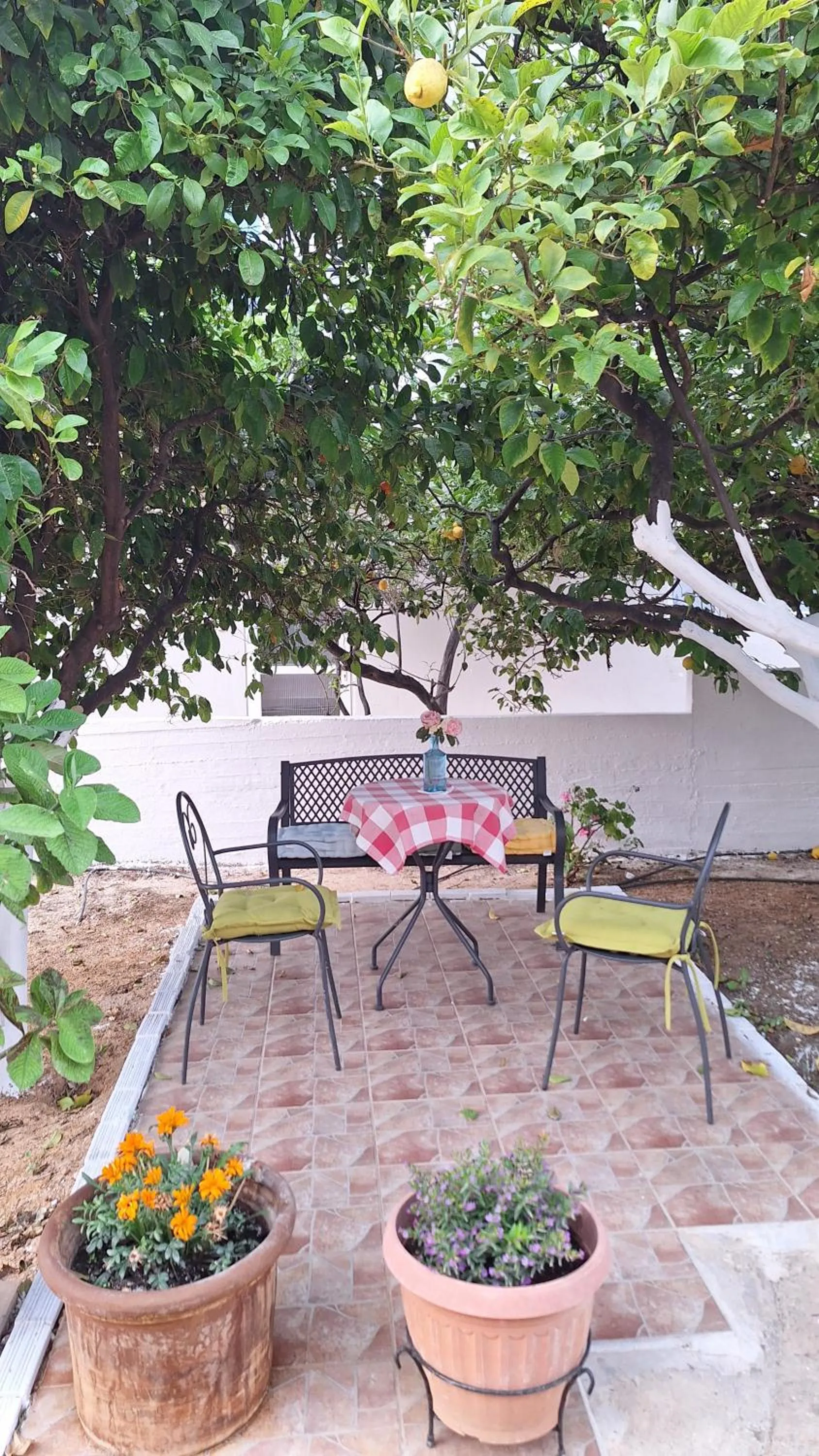 Kalliopi Studios - Apartments