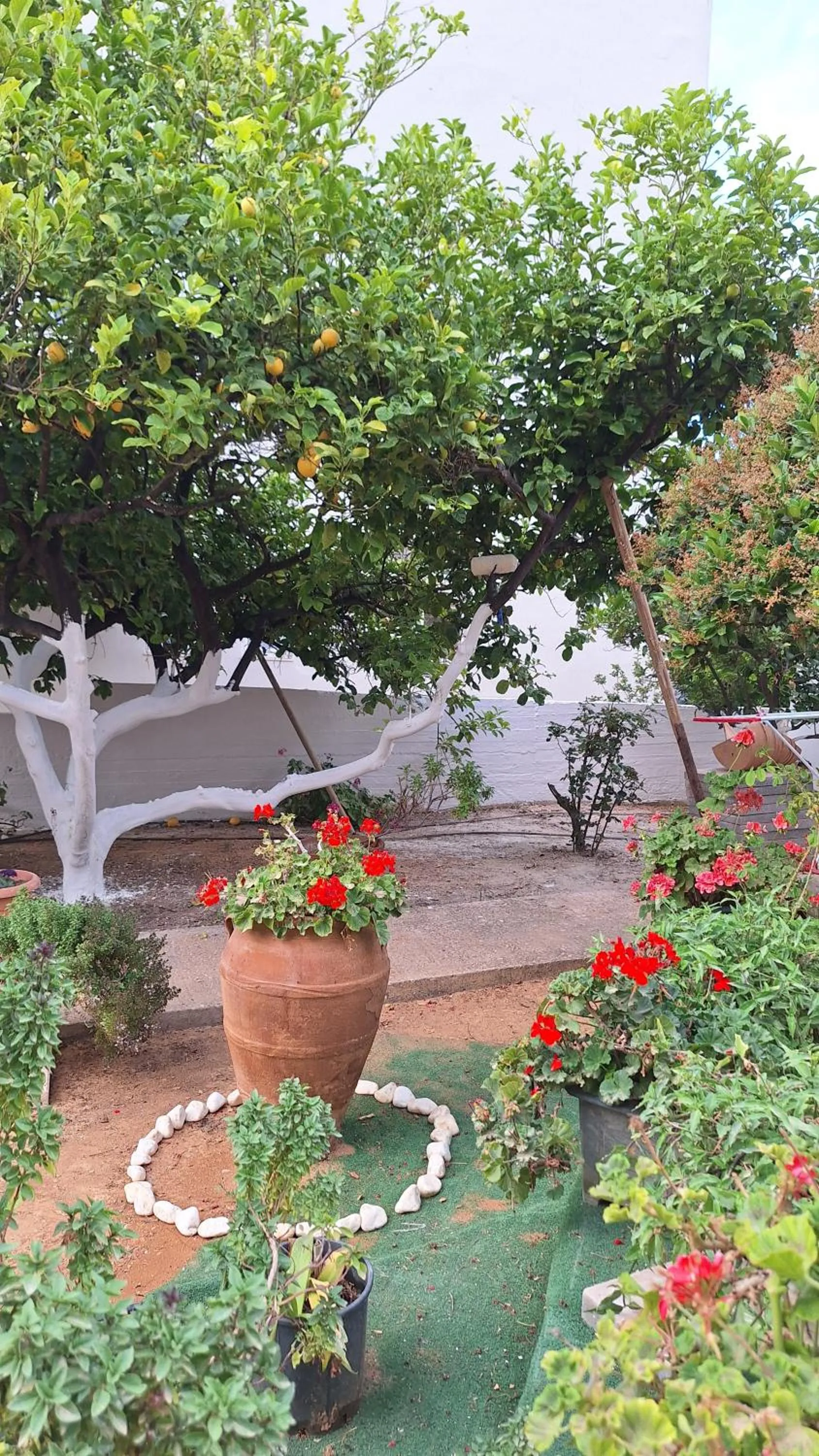 Kalliopi Studios - Apartments