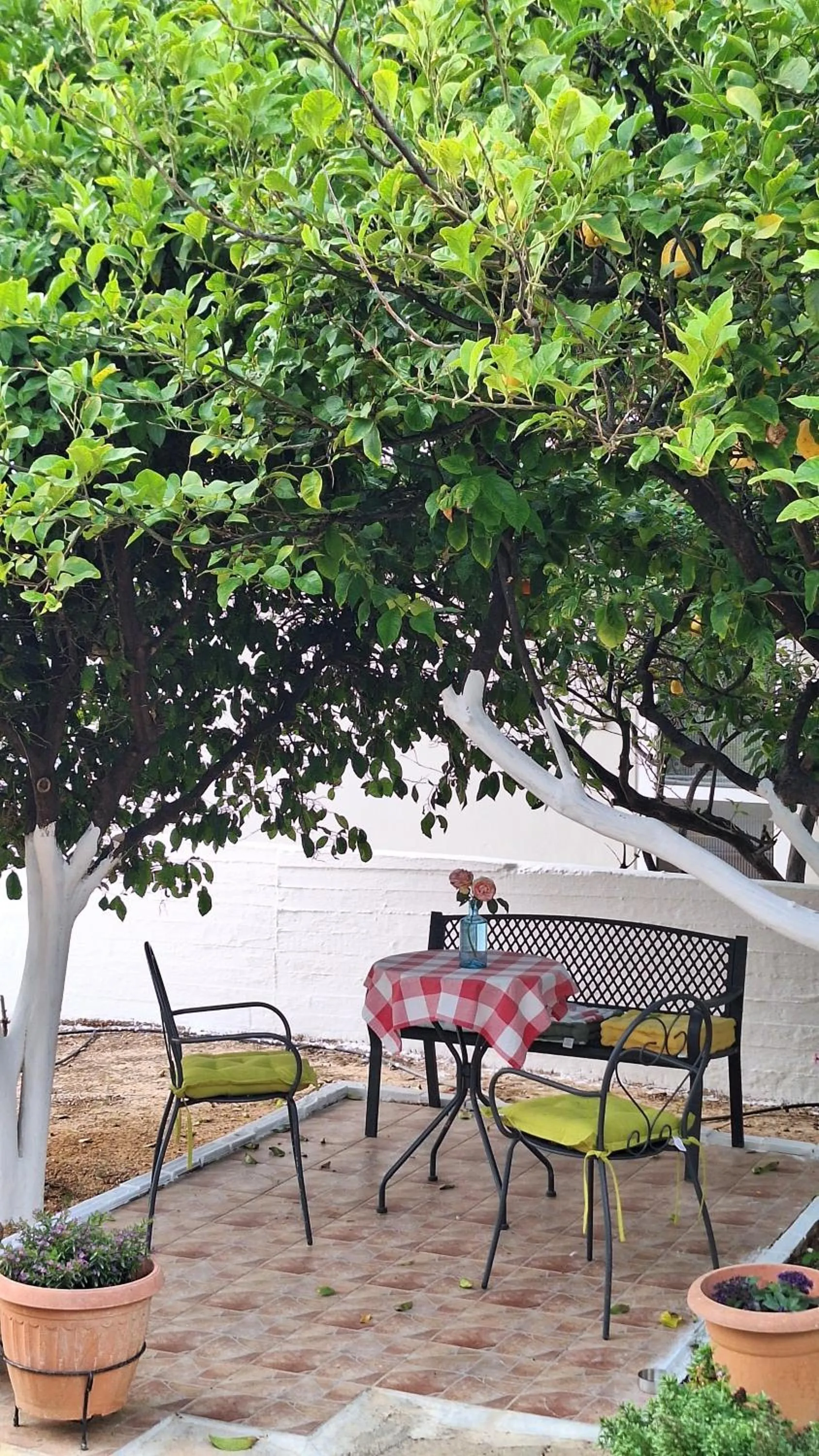 Kalliopi Studios - Apartments