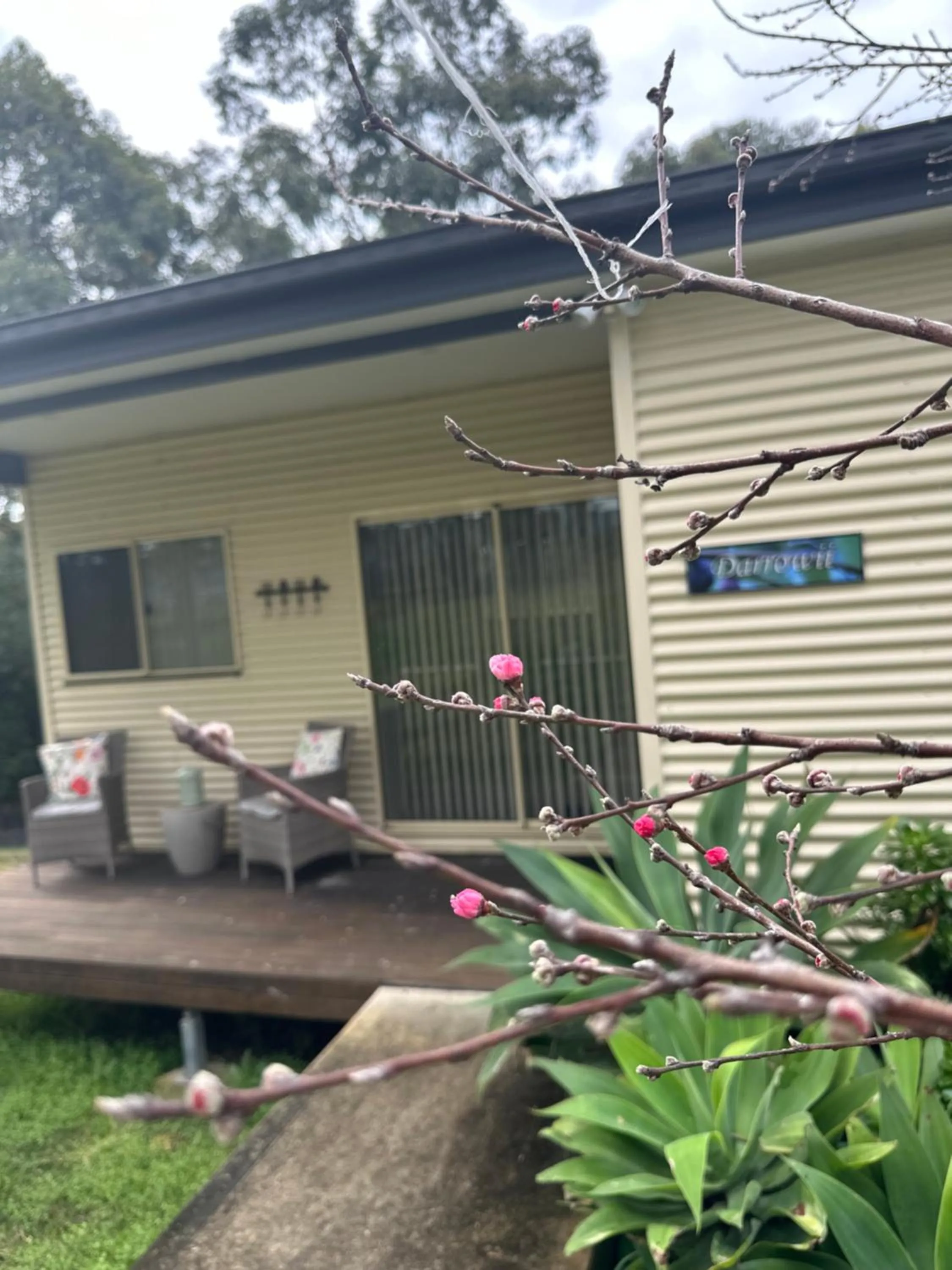 Patio in Blueberry Hills On Comleroy Farmstay - Self-Contained Cottages