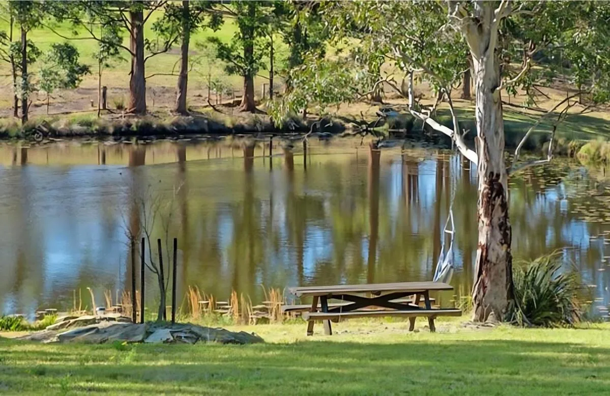 Blueberry Hills On Comleroy Farmstay - Self-Contained Cottages