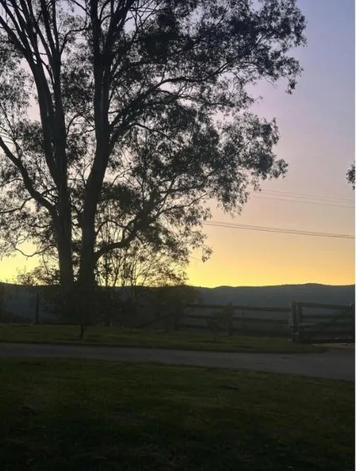 Blueberry Hills On Comleroy Farmstay - Self-Contained Cottages