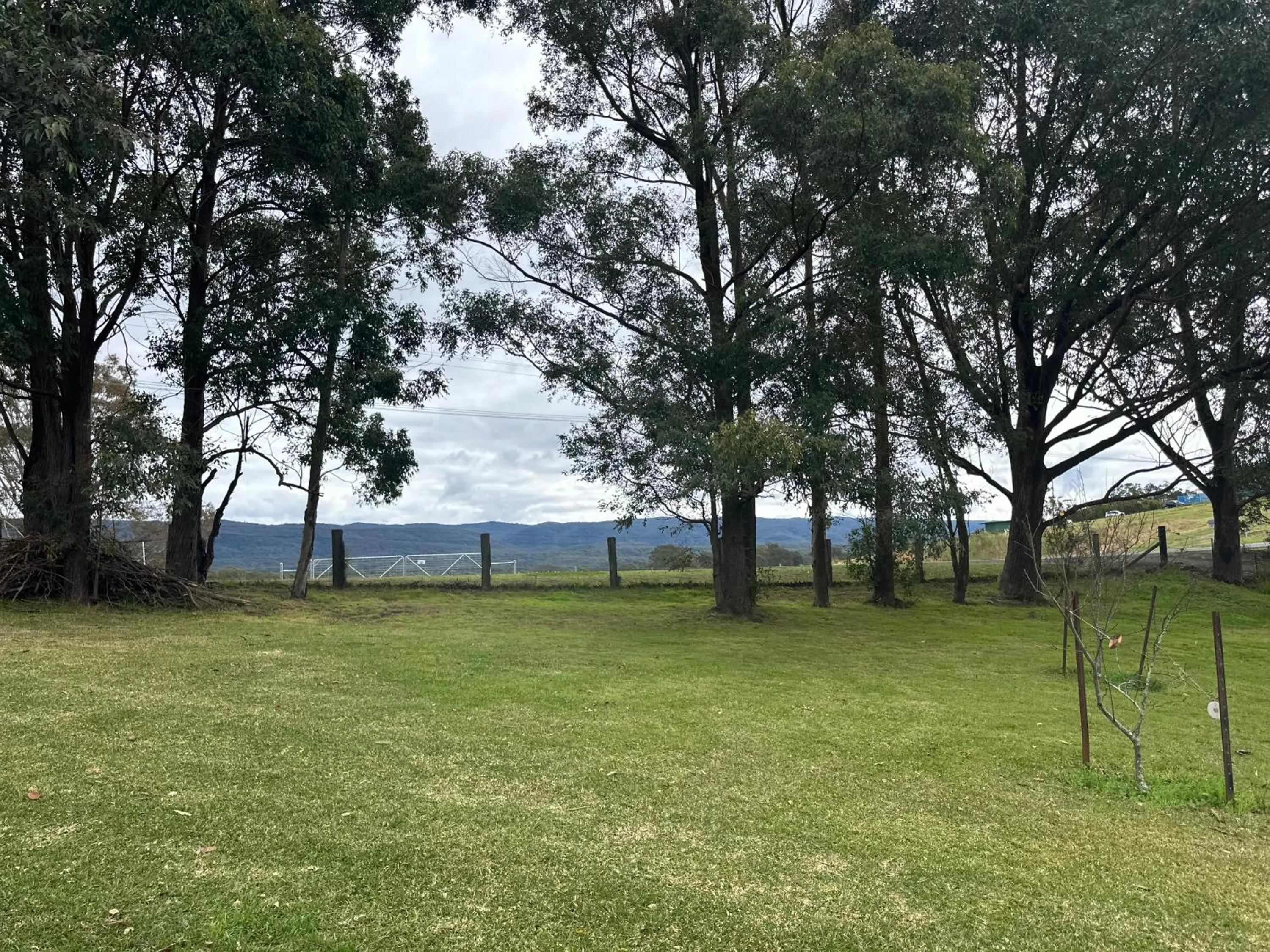 Spring in Blueberry Hills On Comleroy Farmstay - Self-Contained Cottages