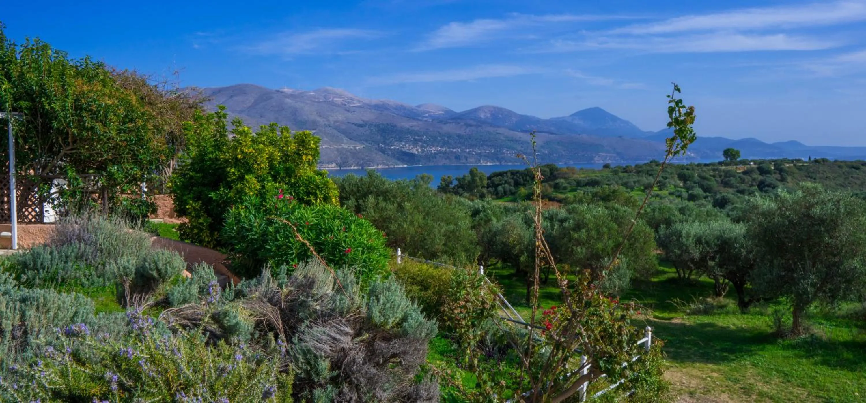 Natural landscape in Forestata Village