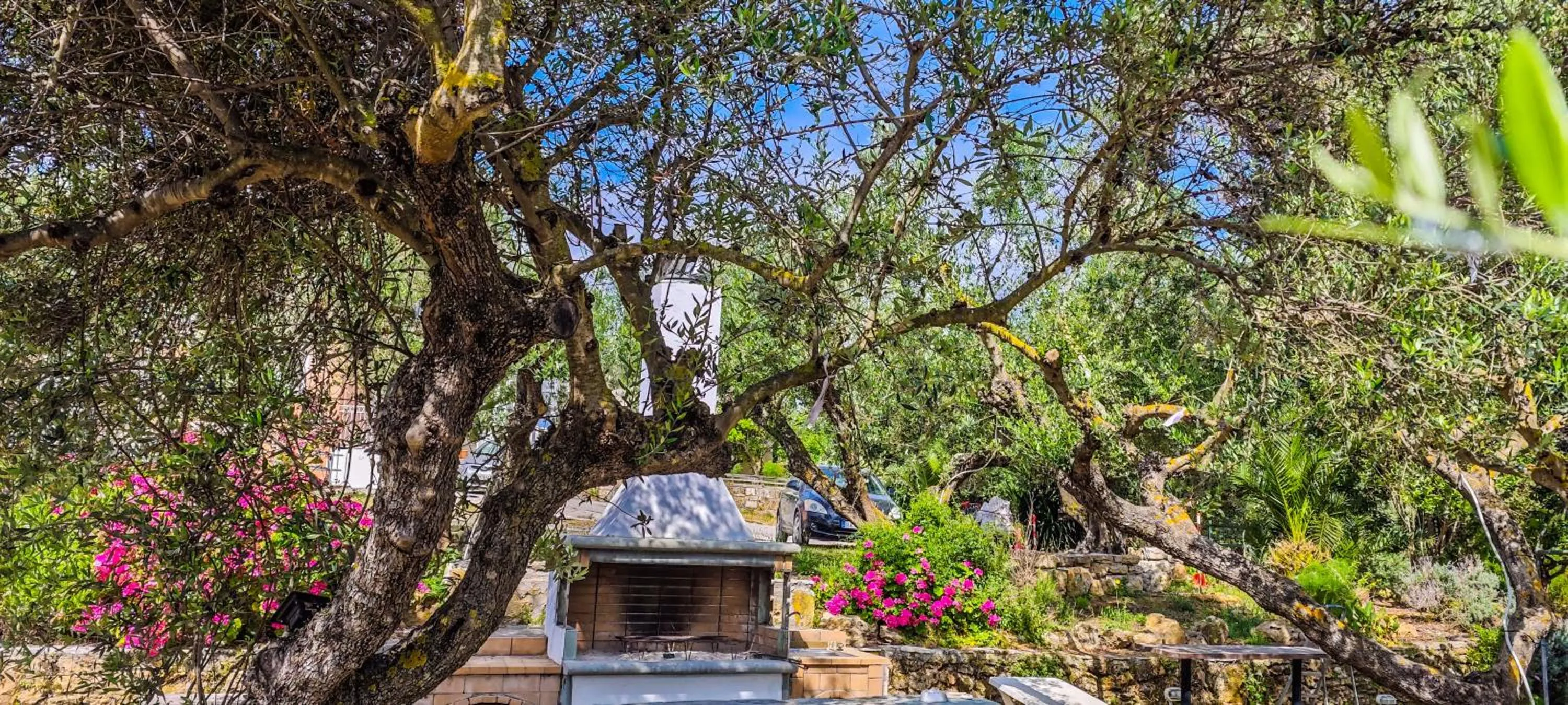 BBQ facilities in Forestata Village