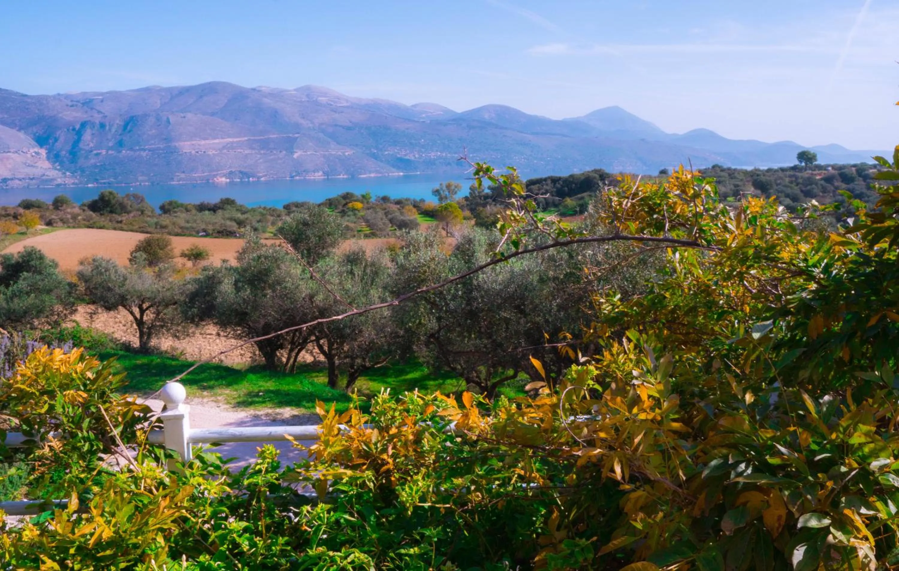 Natural landscape in Forestata Village