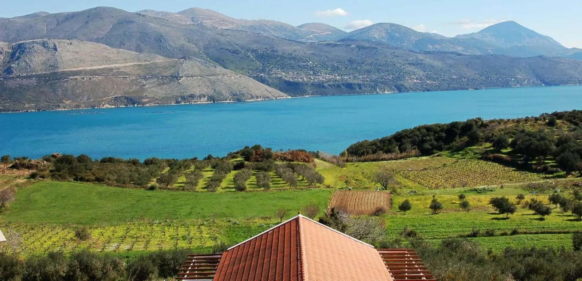 Property building in Forestata Village