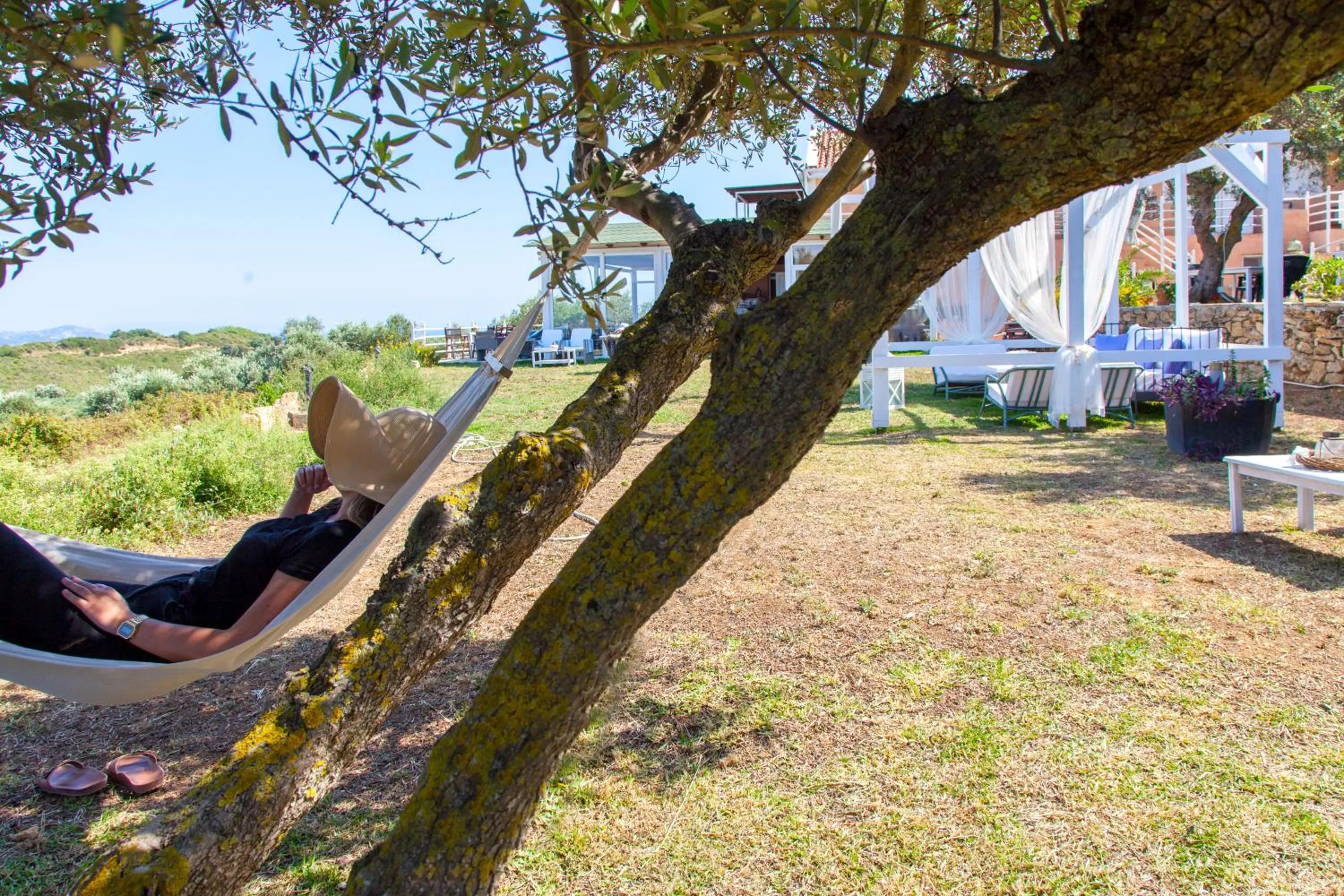 Property building in Forestata Village