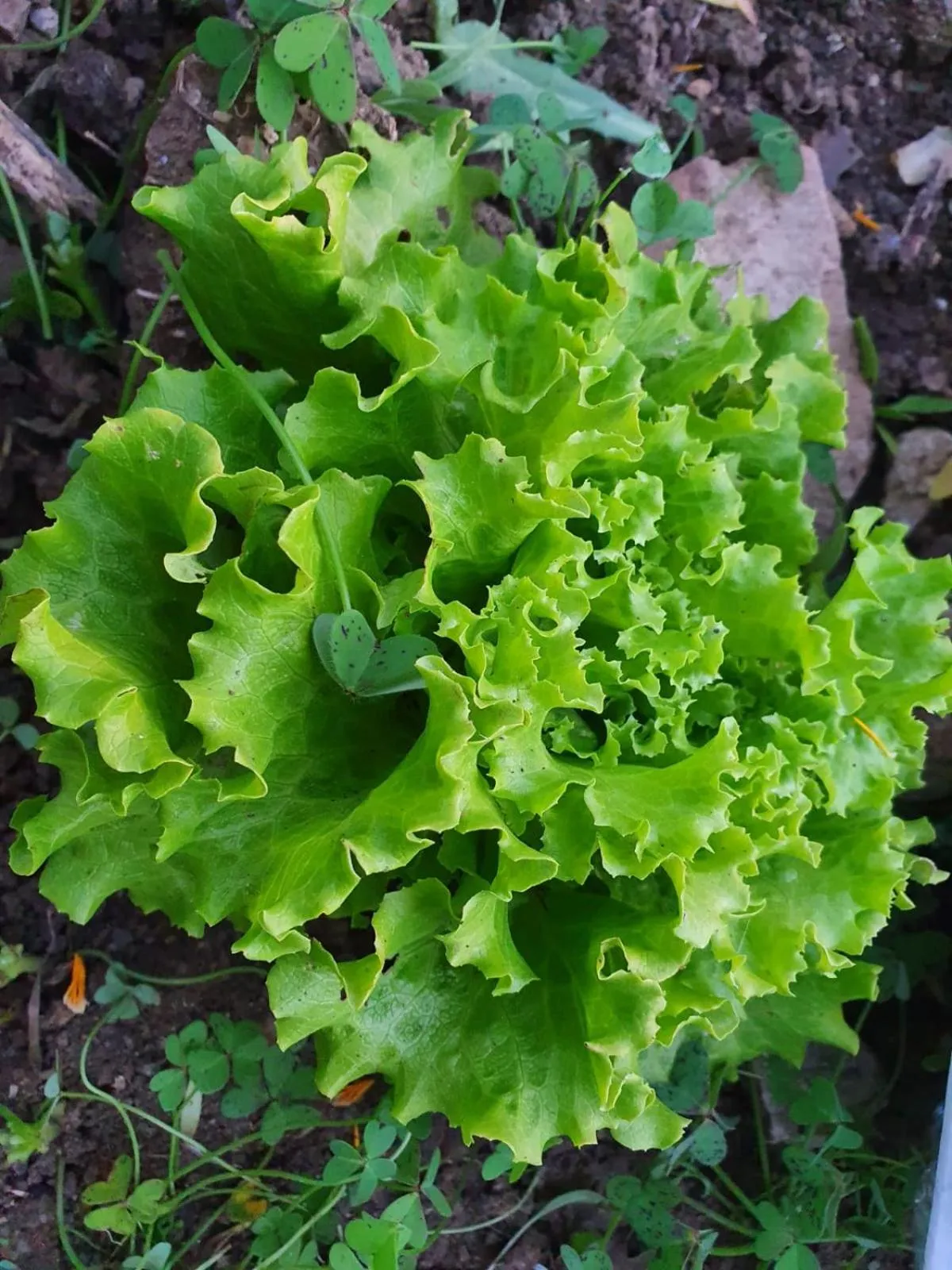 Resort San Nicola - Restaurant and Wellness Fitness